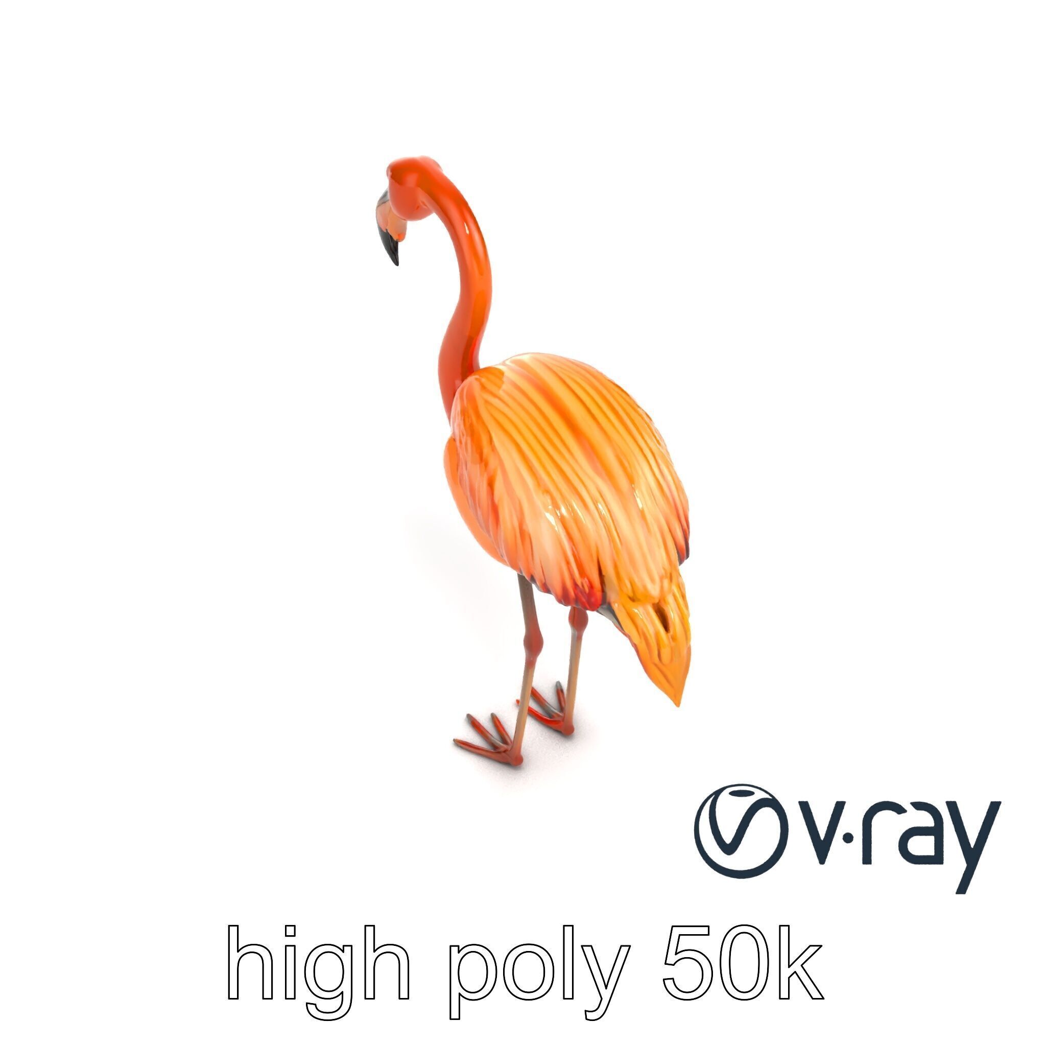 Flamingo Bird Natural Pink model pack Low-poly 3D model_26