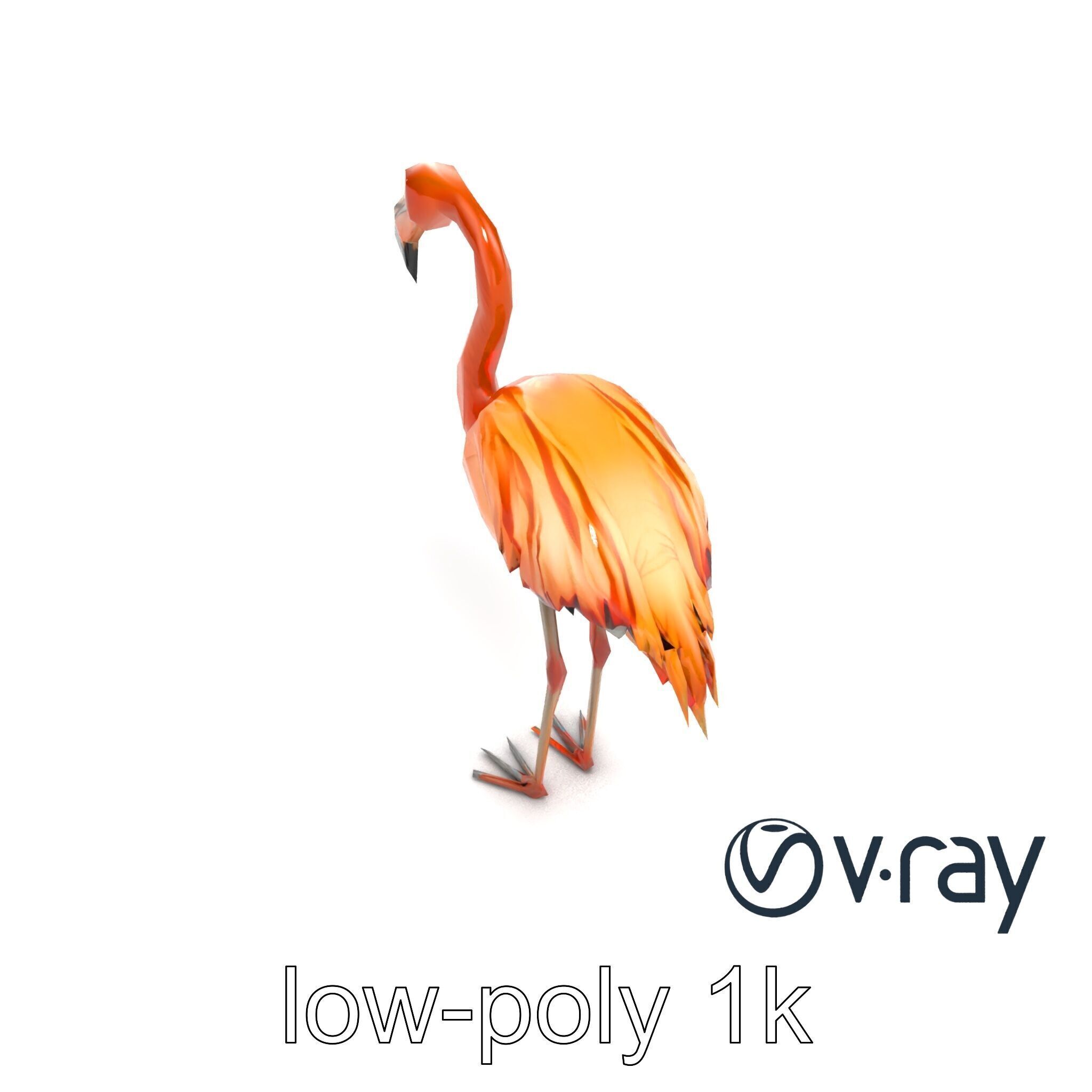 Flamingo Bird Natural Pink model pack Low-poly 3D model_8