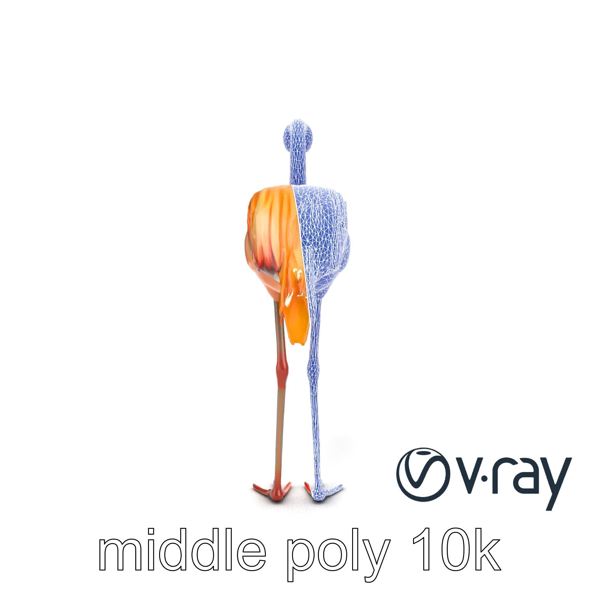 Flamingo Bird Natural Pink model pack Low-poly 3D model_14