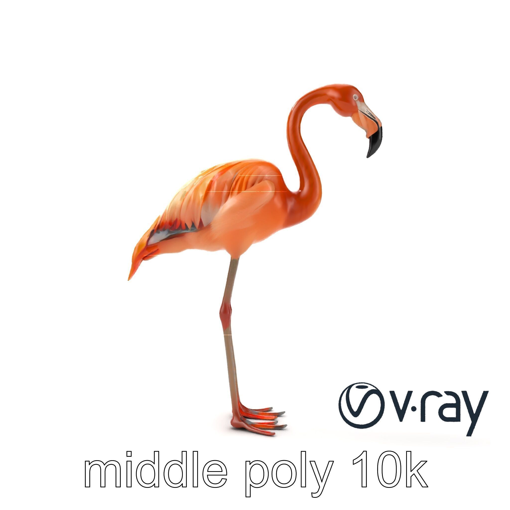 Flamingo Bird Natural Pink model pack Low-poly 3D model_29
