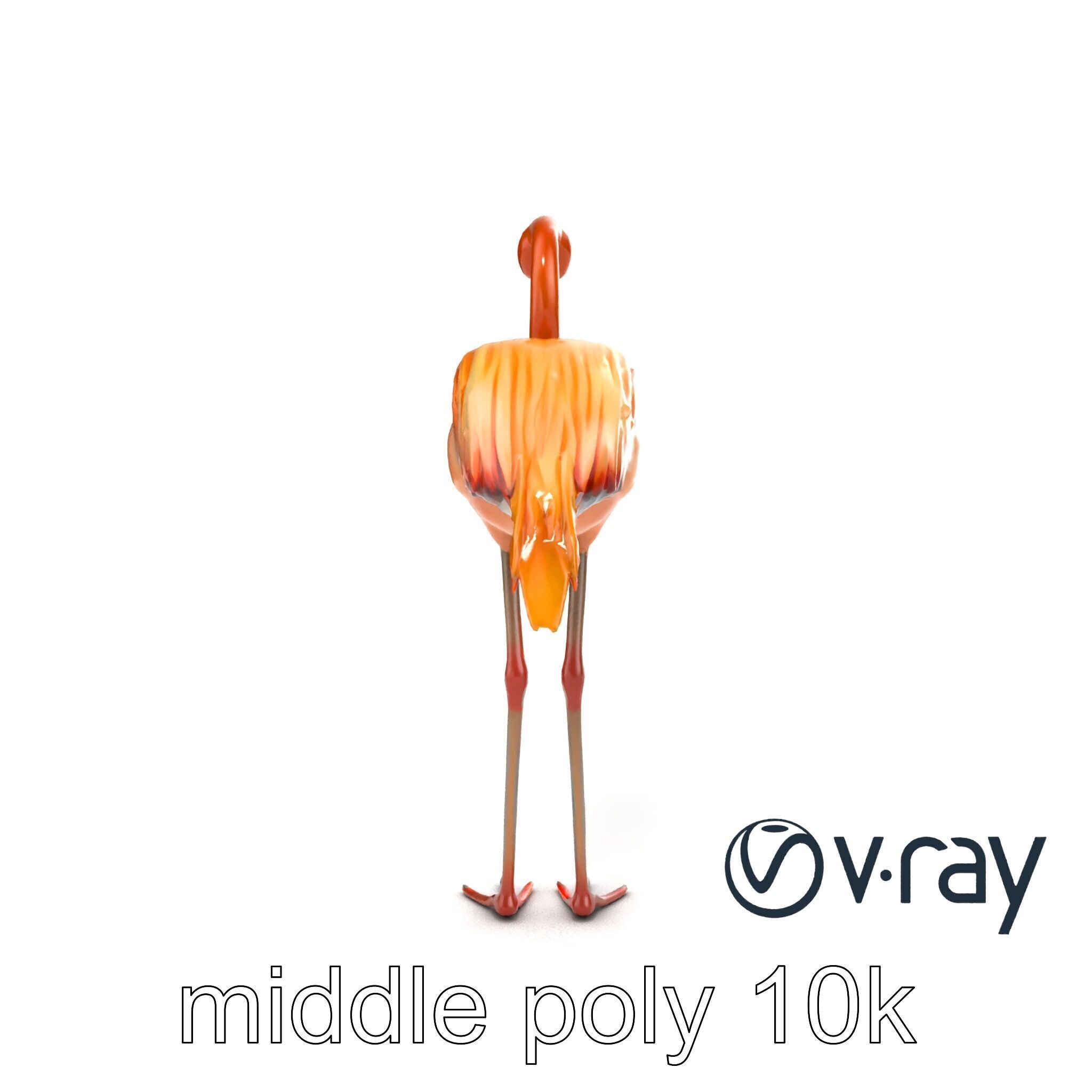 Flamingo Bird Natural Pink model pack Low-poly 3D model_15