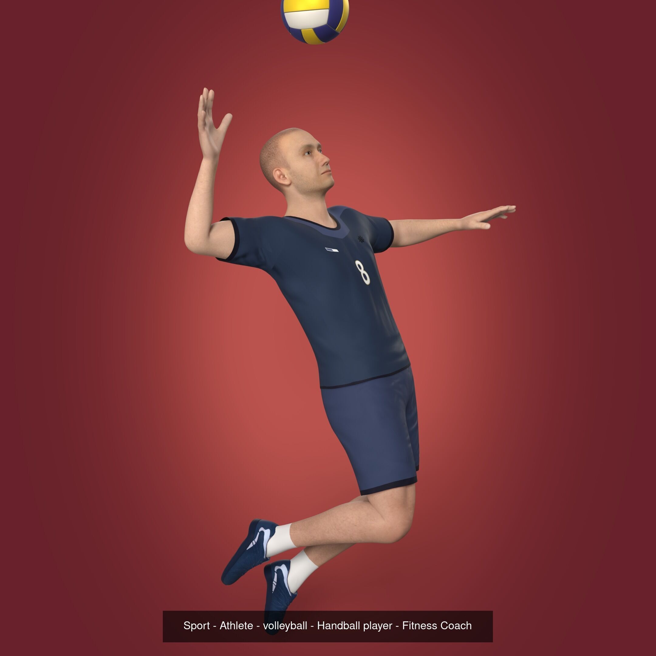 Sports - Athlete - Volleyball Player - Wrestler - Kick-Boxing 3D Model Collection_3