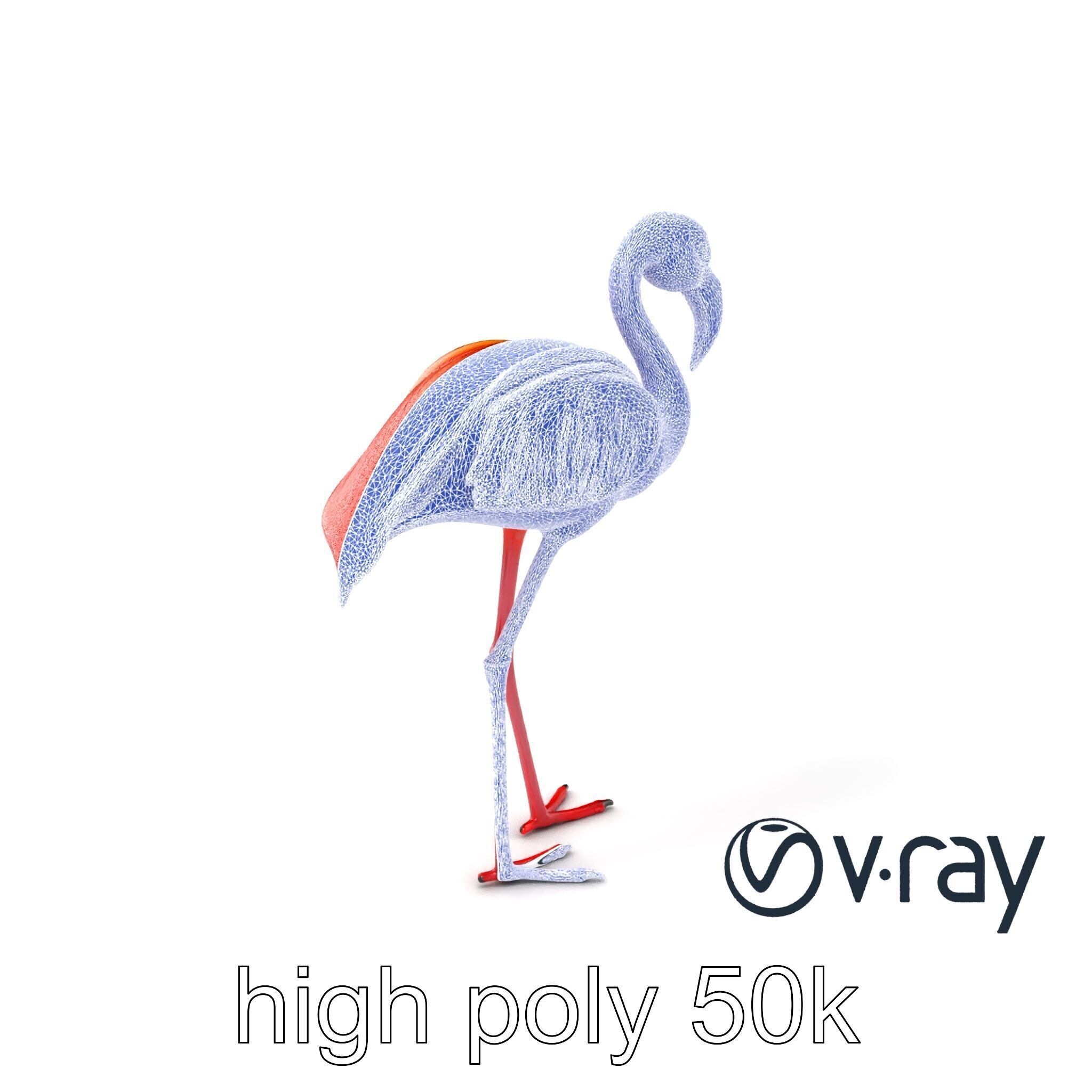 Stylized Flamingo Artistic Design model pack Low-poly 3D model_9