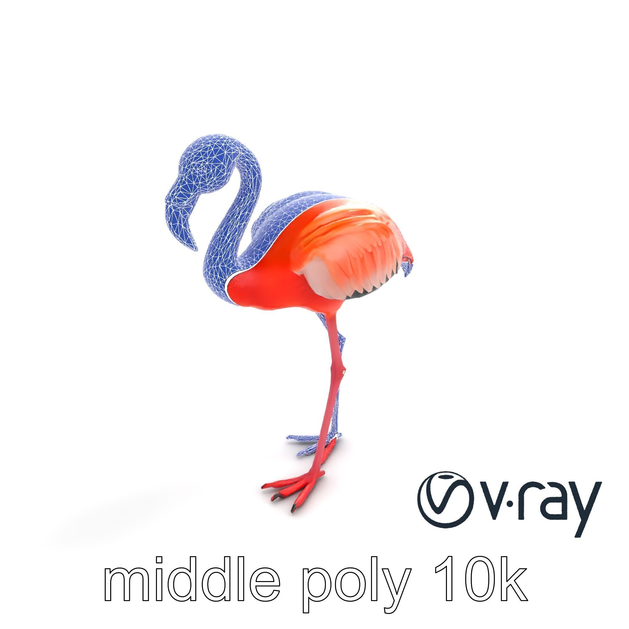 Stylized Flamingo Artistic Design model pack Low-poly 3D model_10