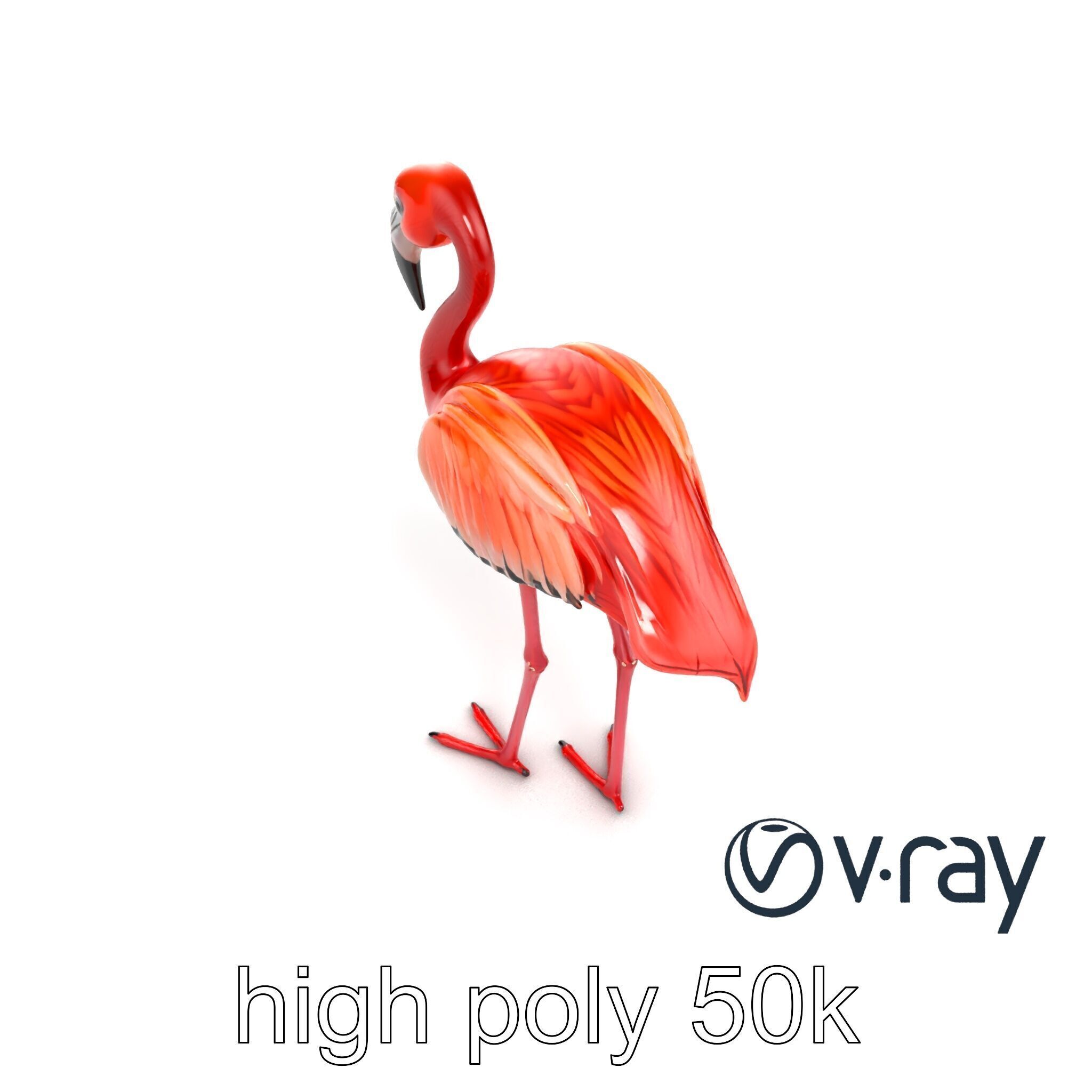Stylized Flamingo Artistic Design model pack Low-poly 3D model_11