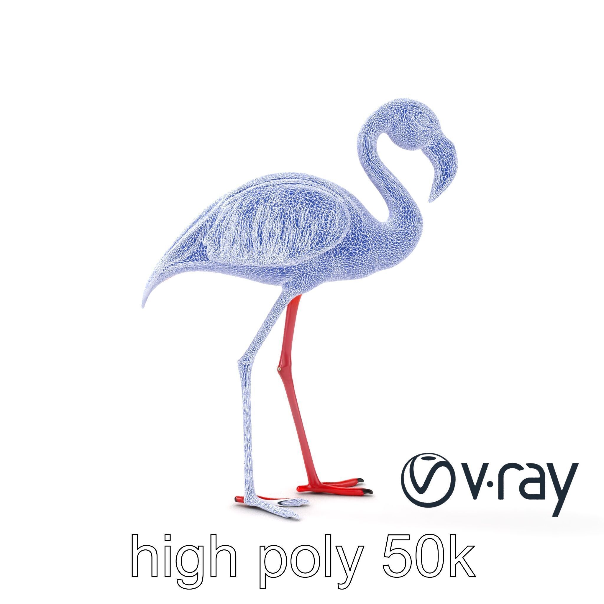 Stylized Flamingo Artistic Design model pack Low-poly 3D model_28