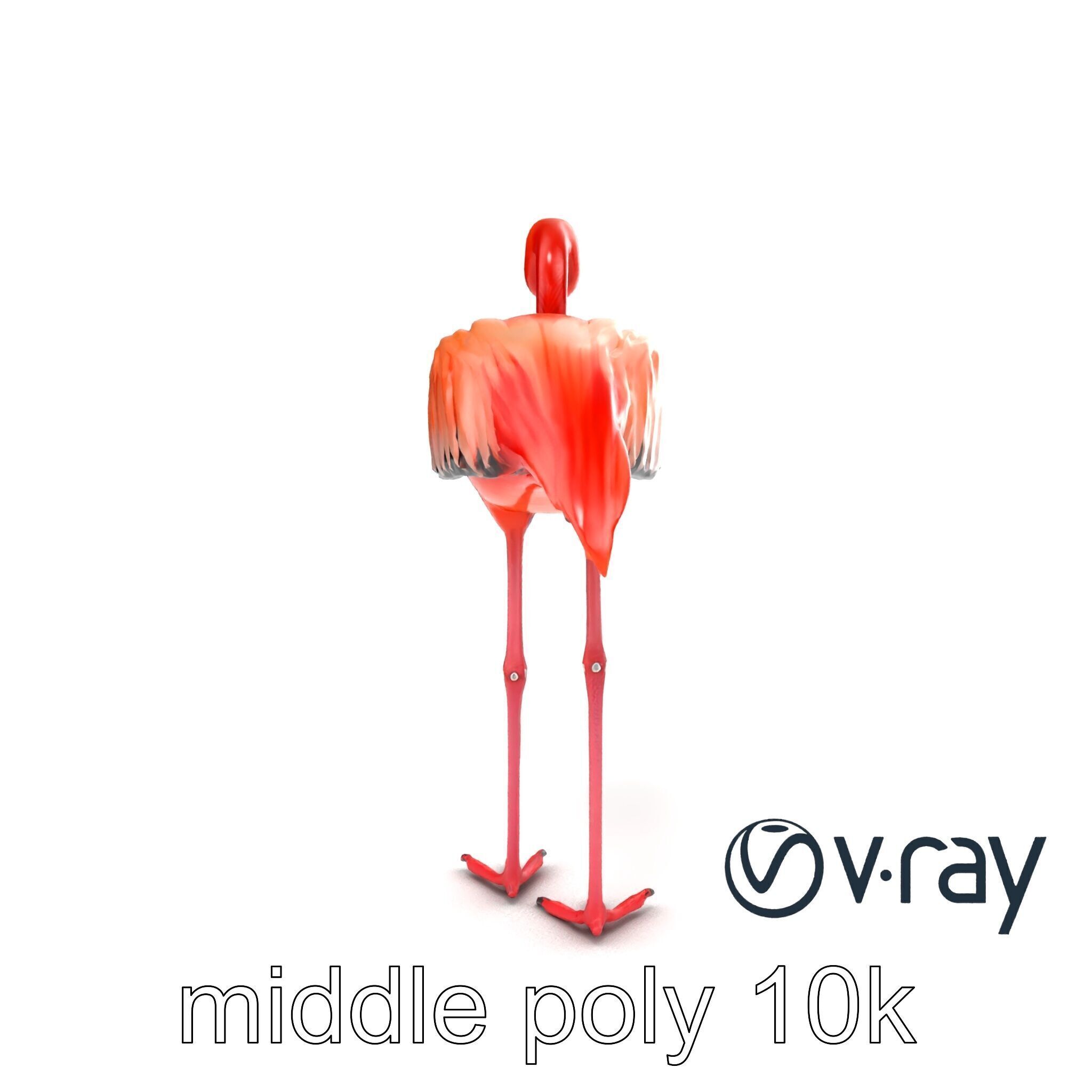 Stylized Flamingo Artistic Design model pack Low-poly 3D model_26
