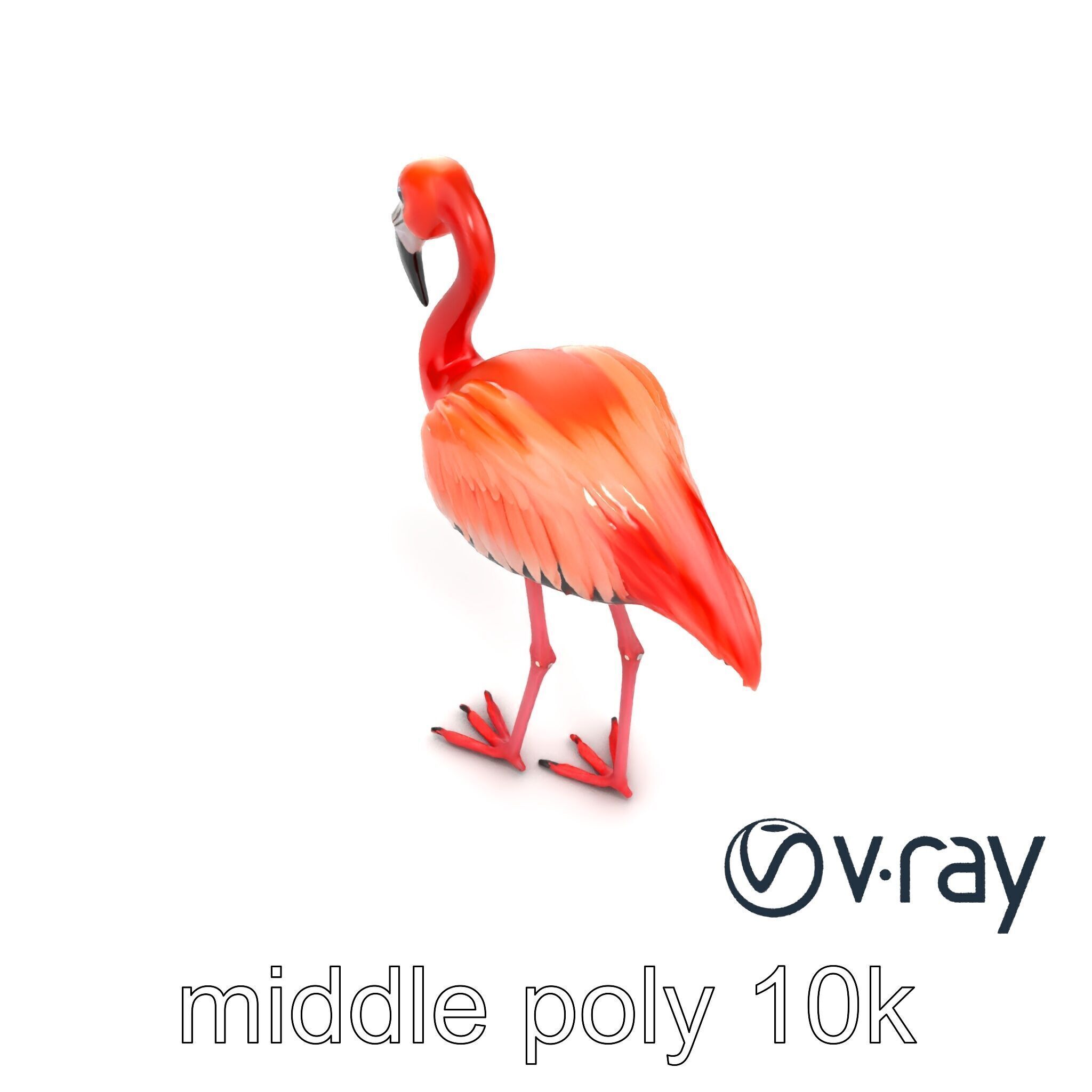 Stylized Flamingo Artistic Design model pack Low-poly 3D model_21