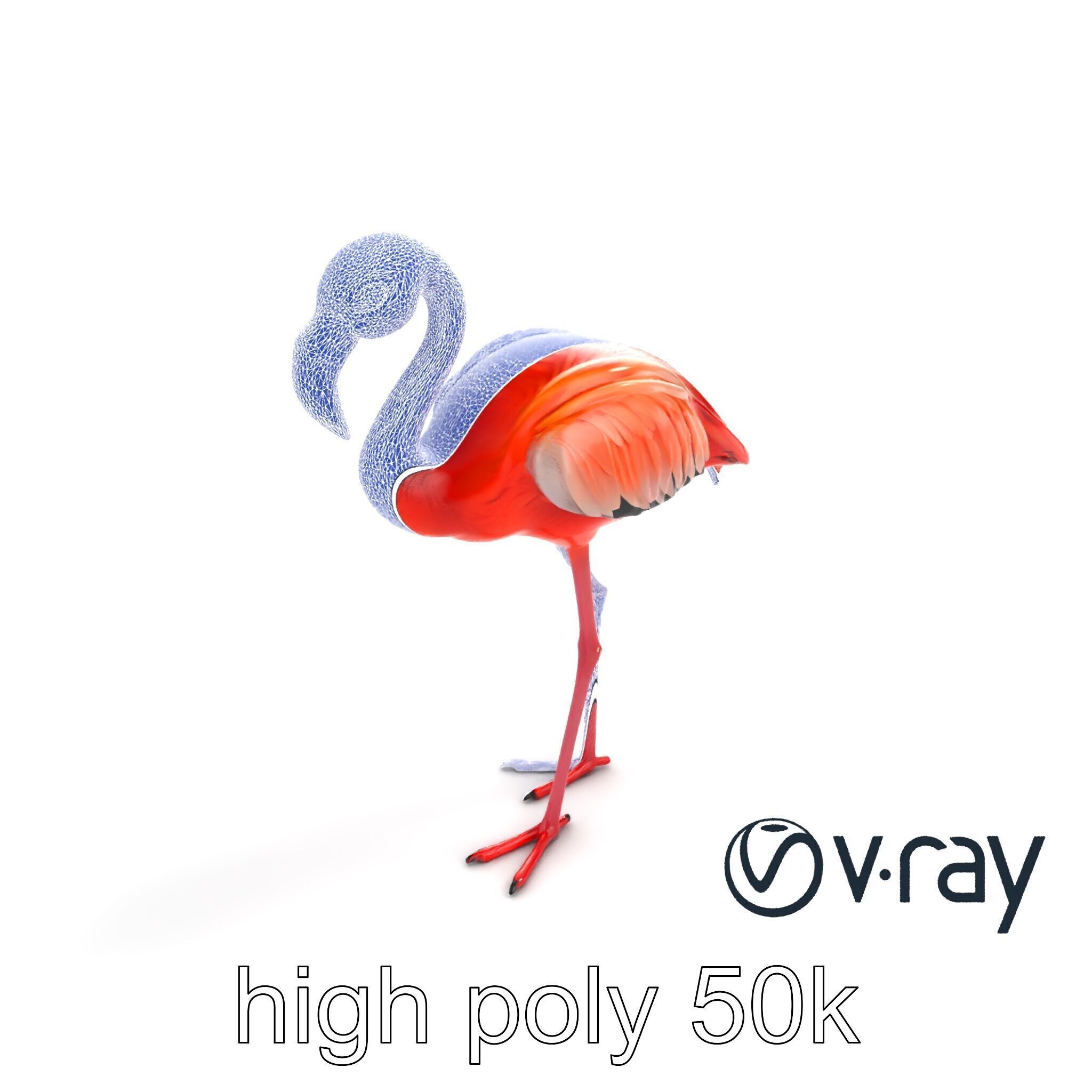 Stylized Flamingo Artistic Design model pack Low-poly 3D model_17