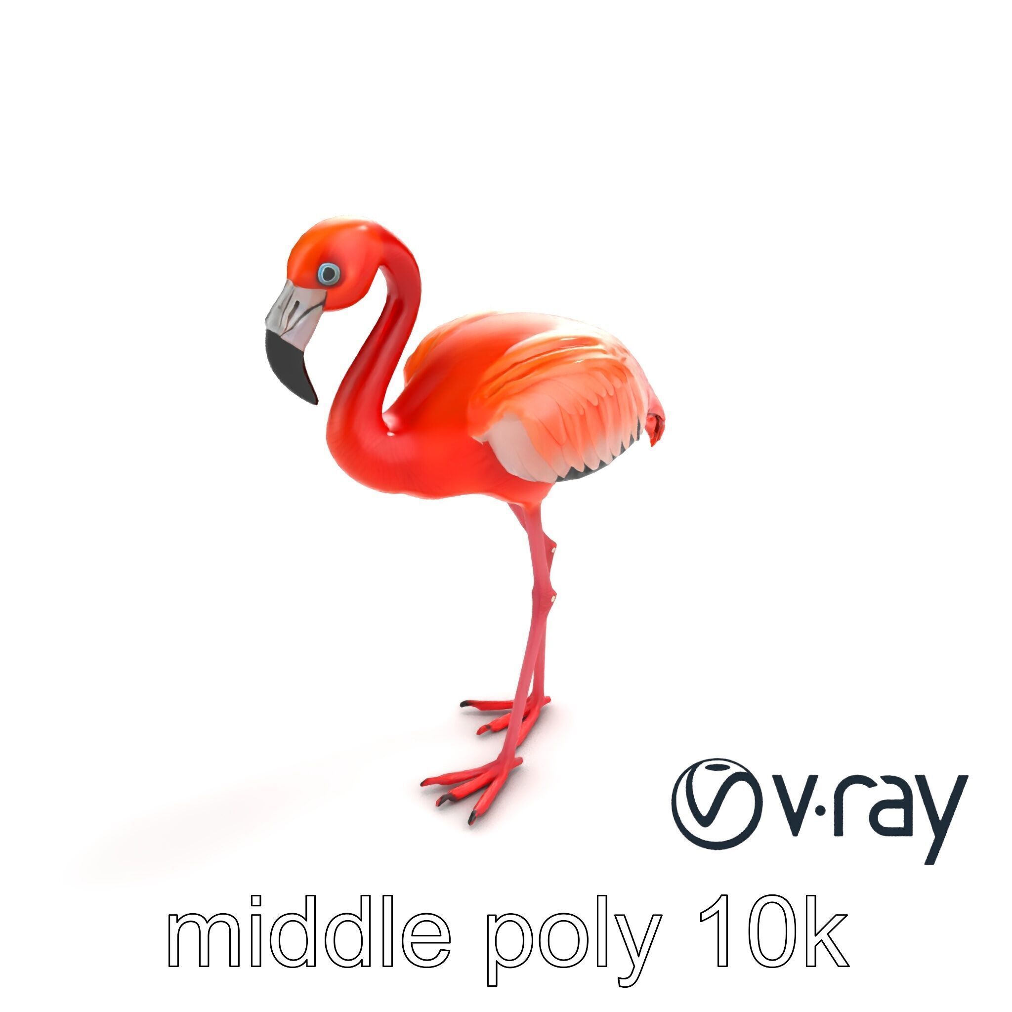 Stylized Flamingo Artistic Design model pack Low-poly 3D model_7