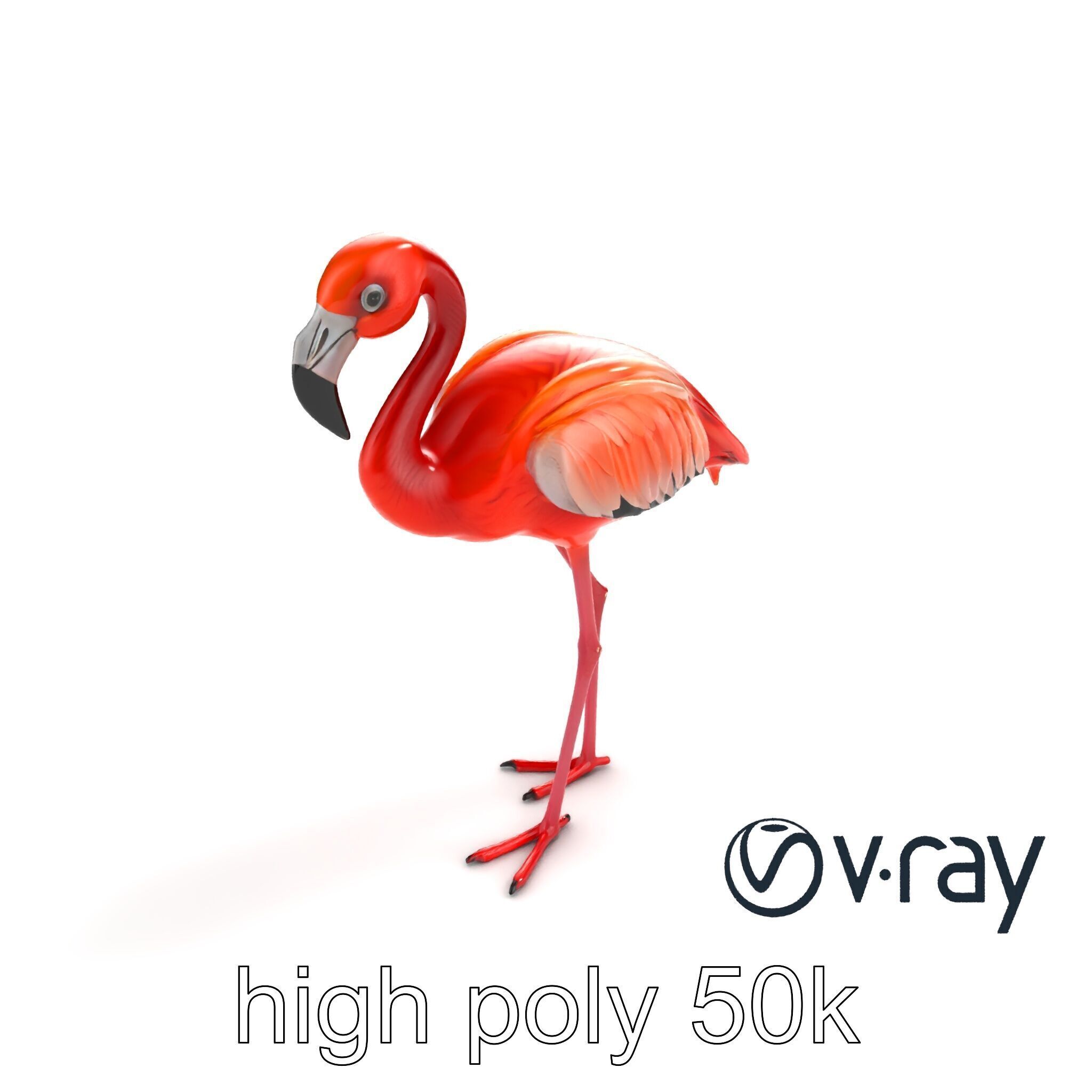 Stylized Flamingo Artistic Design model pack Low-poly 3D model_12