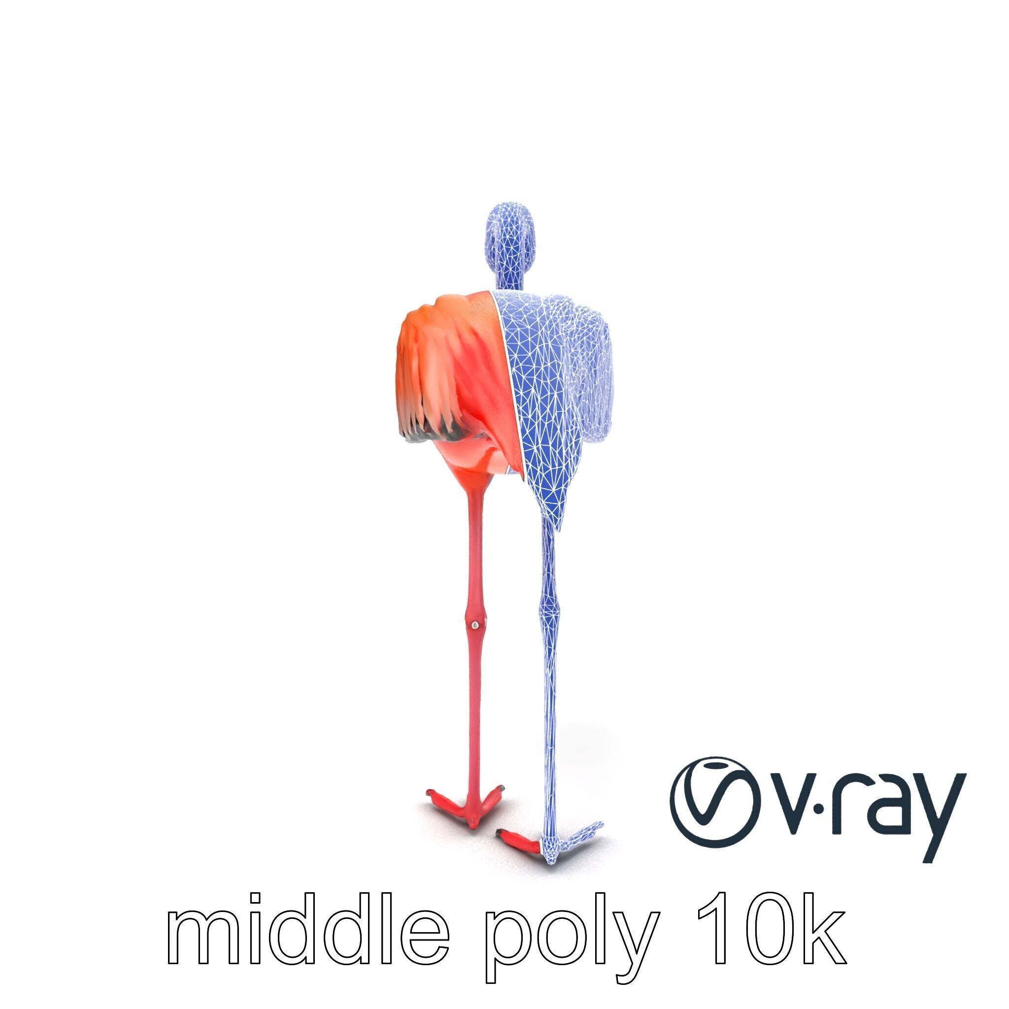 Stylized Flamingo Artistic Design model pack Low-poly 3D model_23