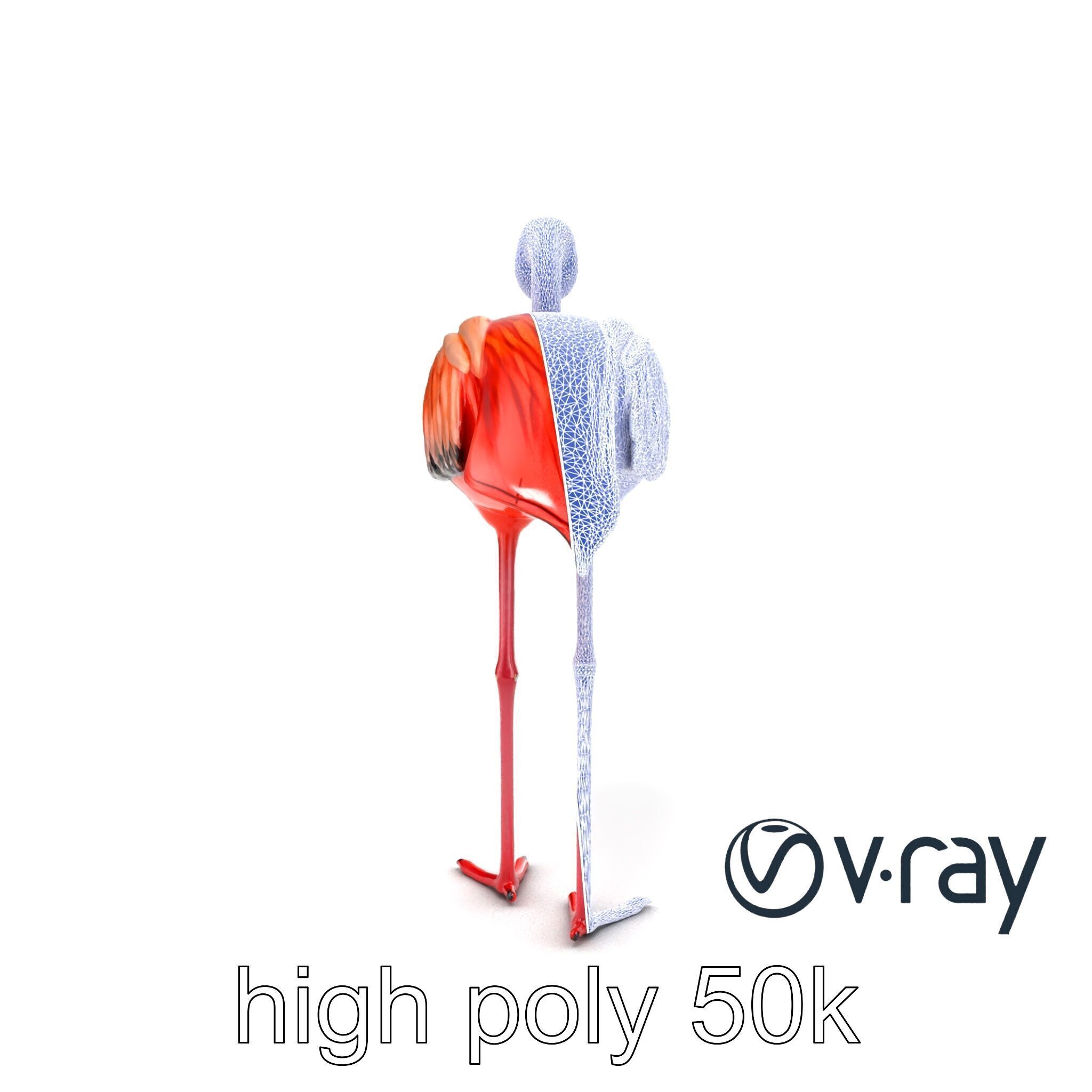 Stylized Flamingo Artistic Design model pack Low-poly 3D model_24