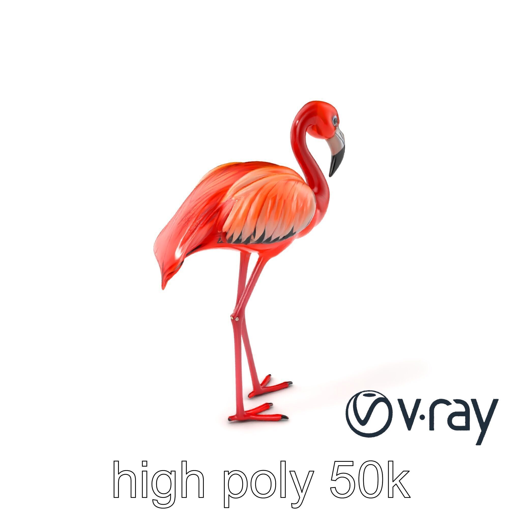 Stylized Flamingo Artistic Design model pack Low-poly 3D model_6