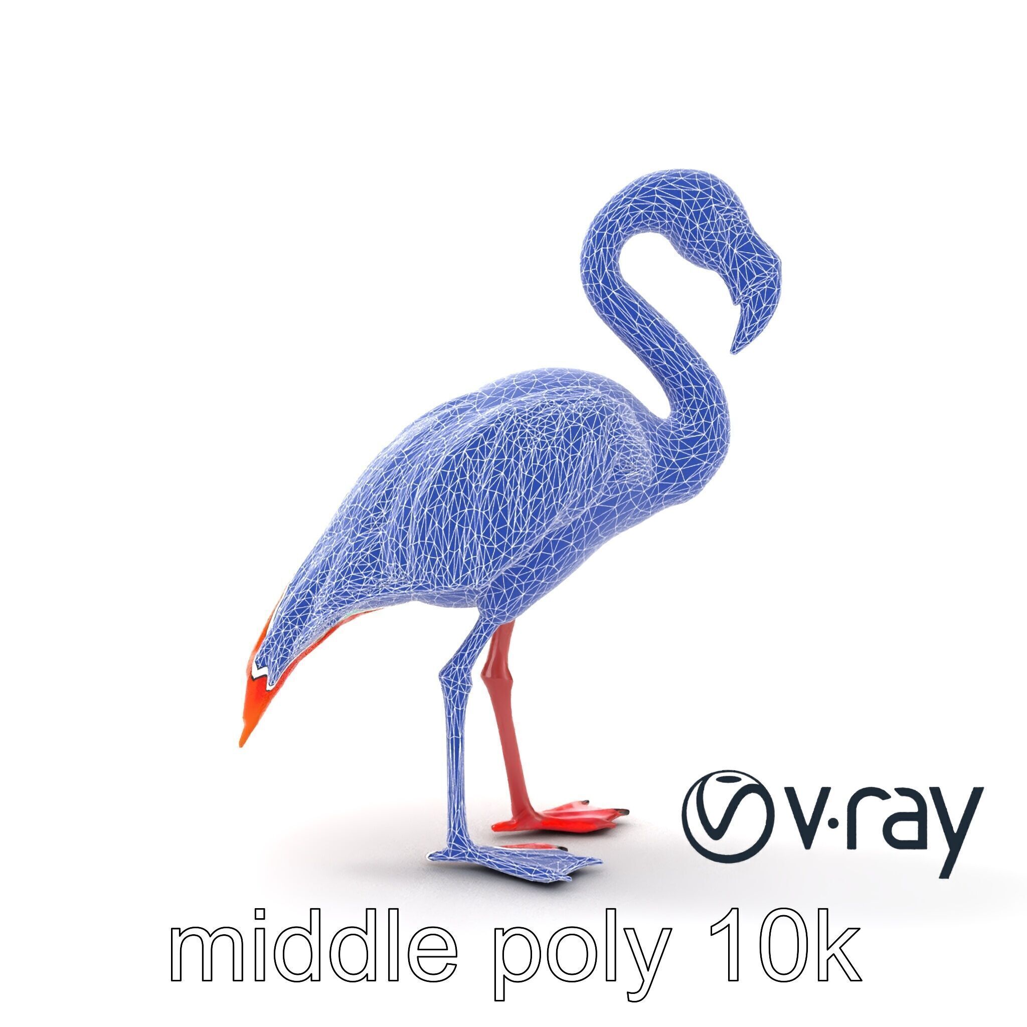 Vibrant Pink Flamingo Model Pack Low-poly 3D model_28