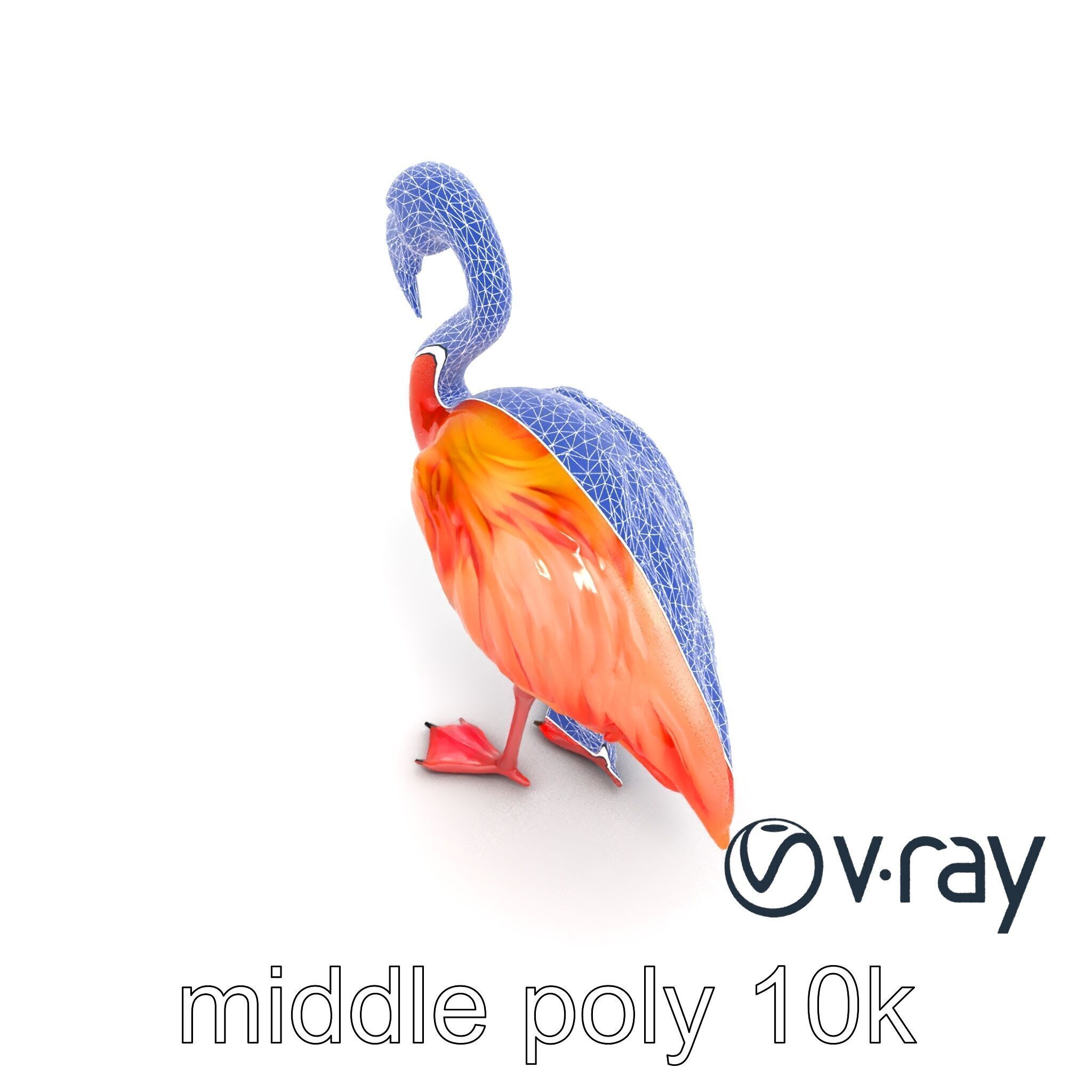 Vibrant Pink Flamingo Model Pack Low-poly 3D model_13