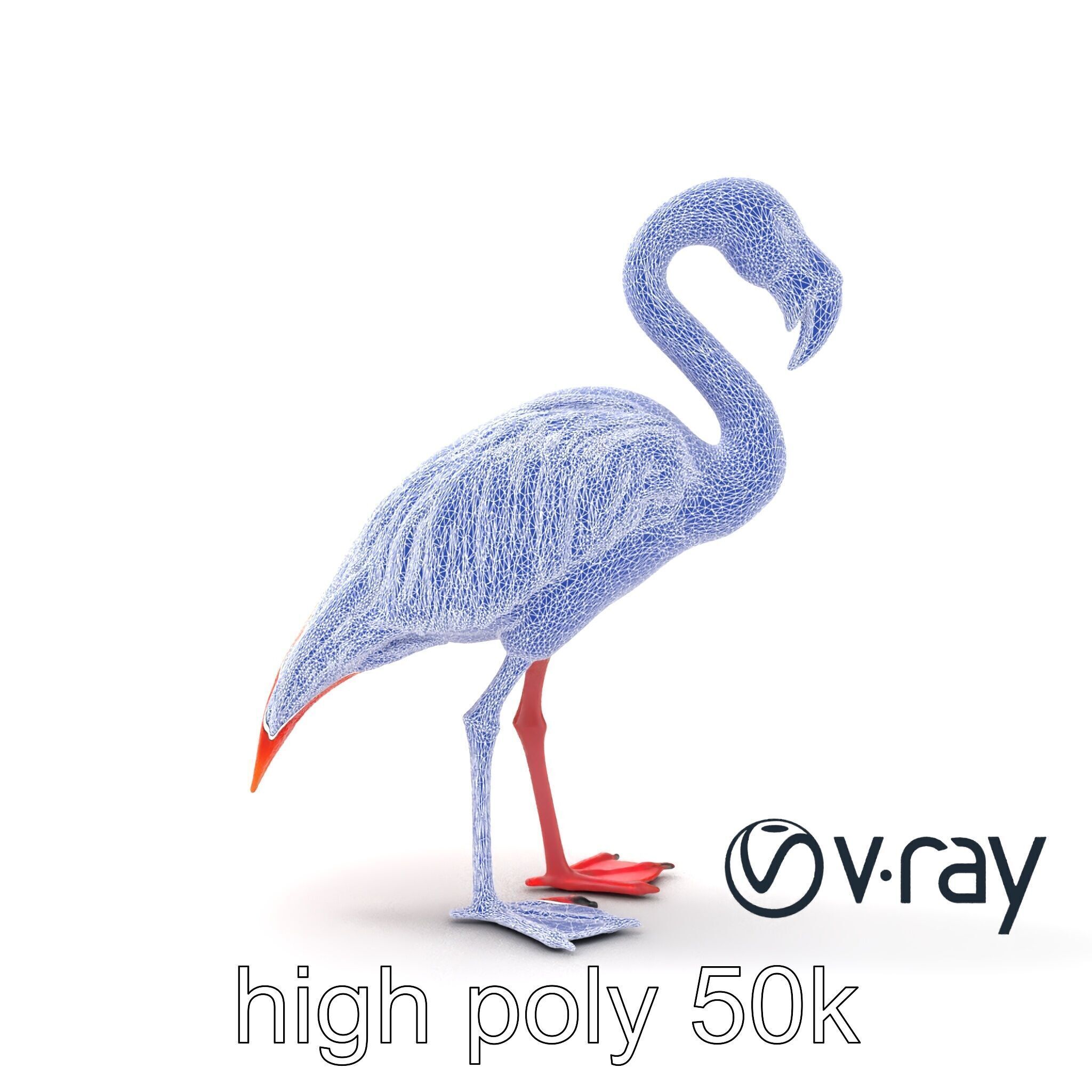 Vibrant Pink Flamingo Model Pack Low-poly 3D model_24