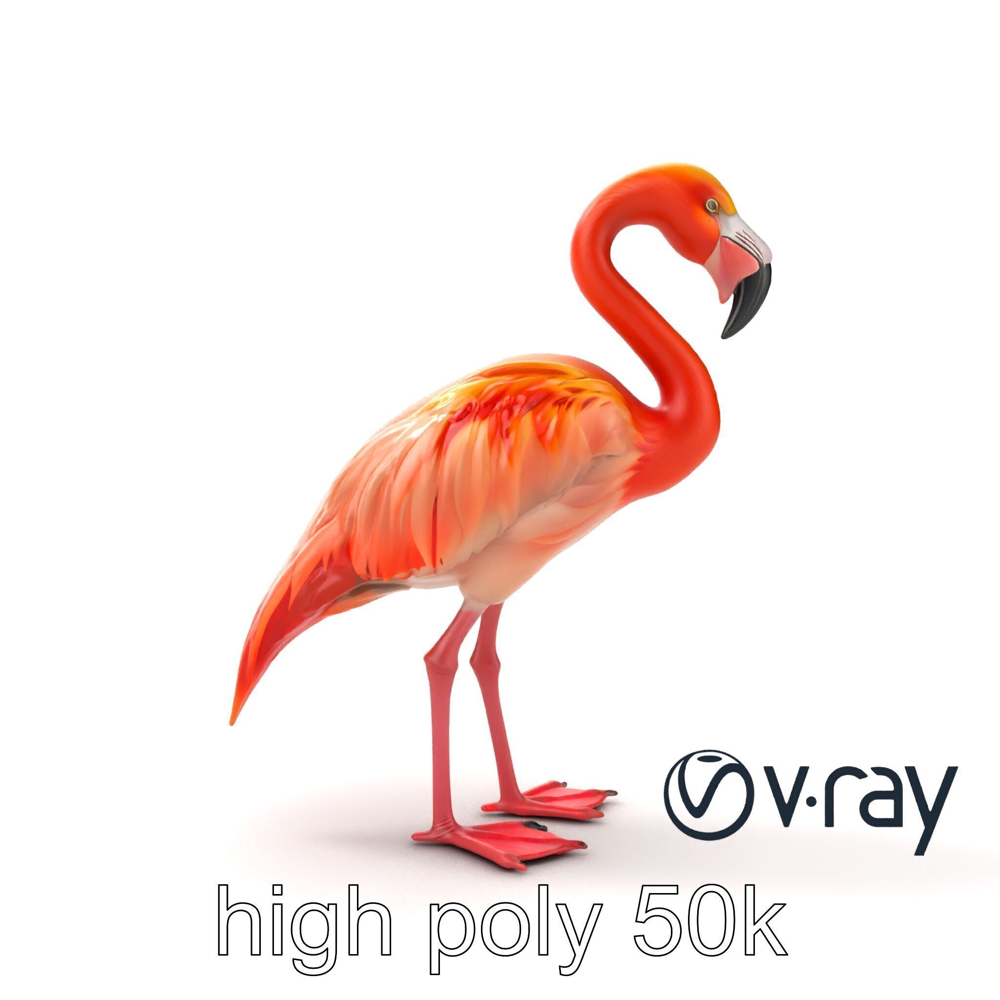 Vibrant Pink Flamingo Model Pack Low-poly 3D model_18