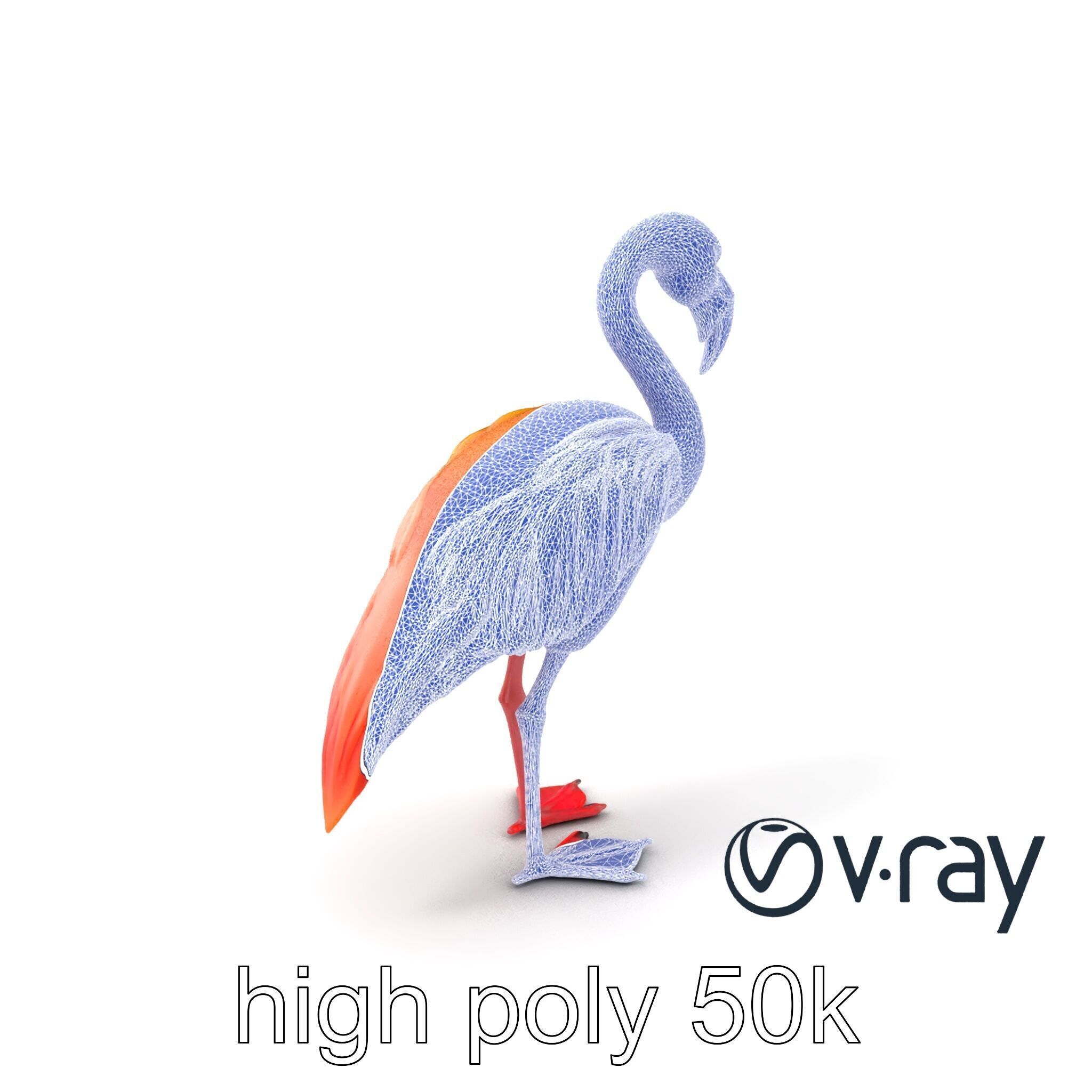 Vibrant Pink Flamingo Model Pack Low-poly 3D model_27