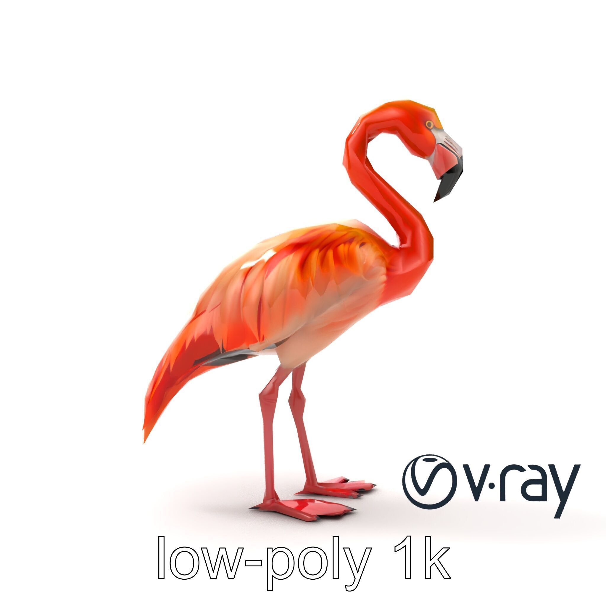 Vibrant Pink Flamingo Model Pack Low-poly 3D model_17