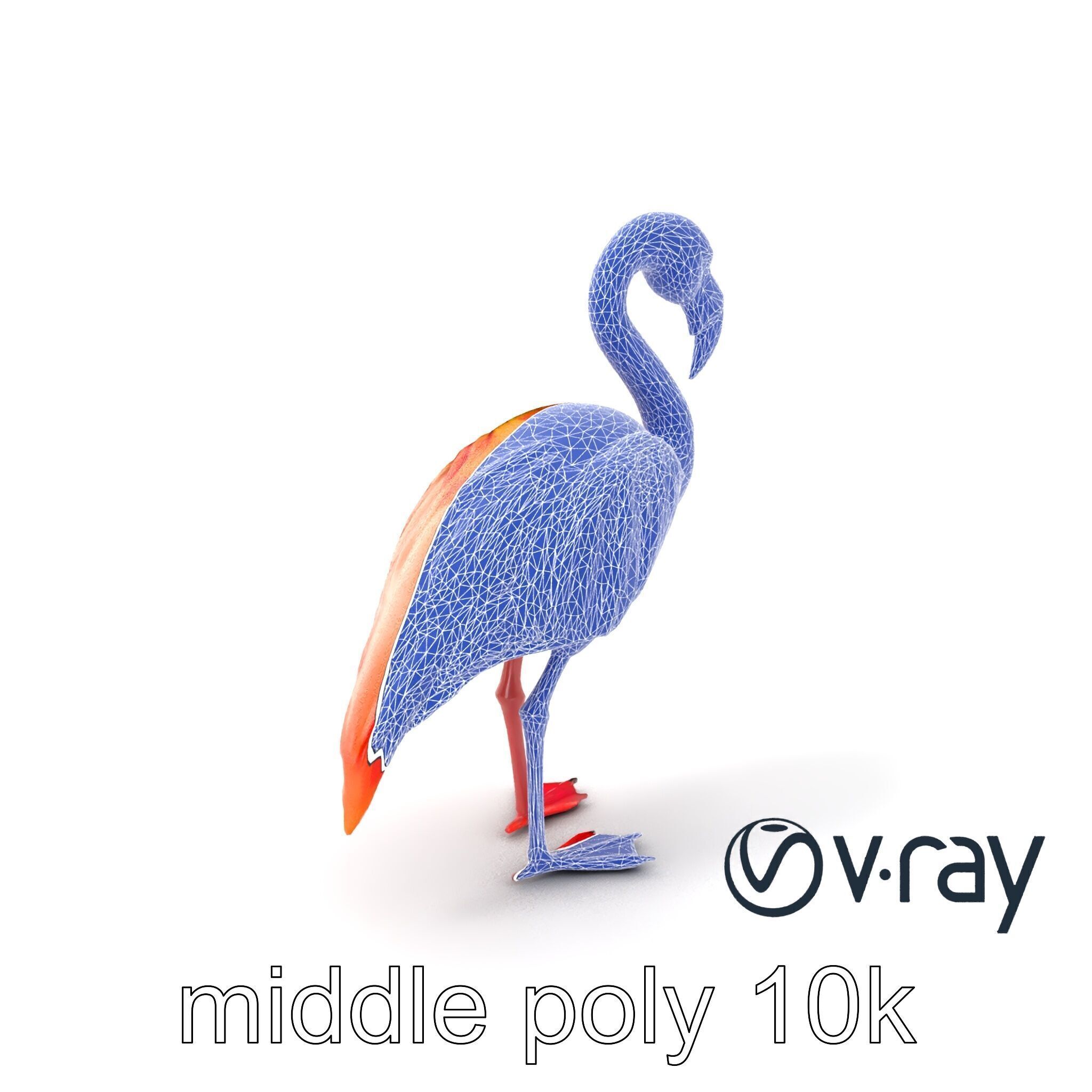 Vibrant Pink Flamingo Model Pack Low-poly 3D model_25