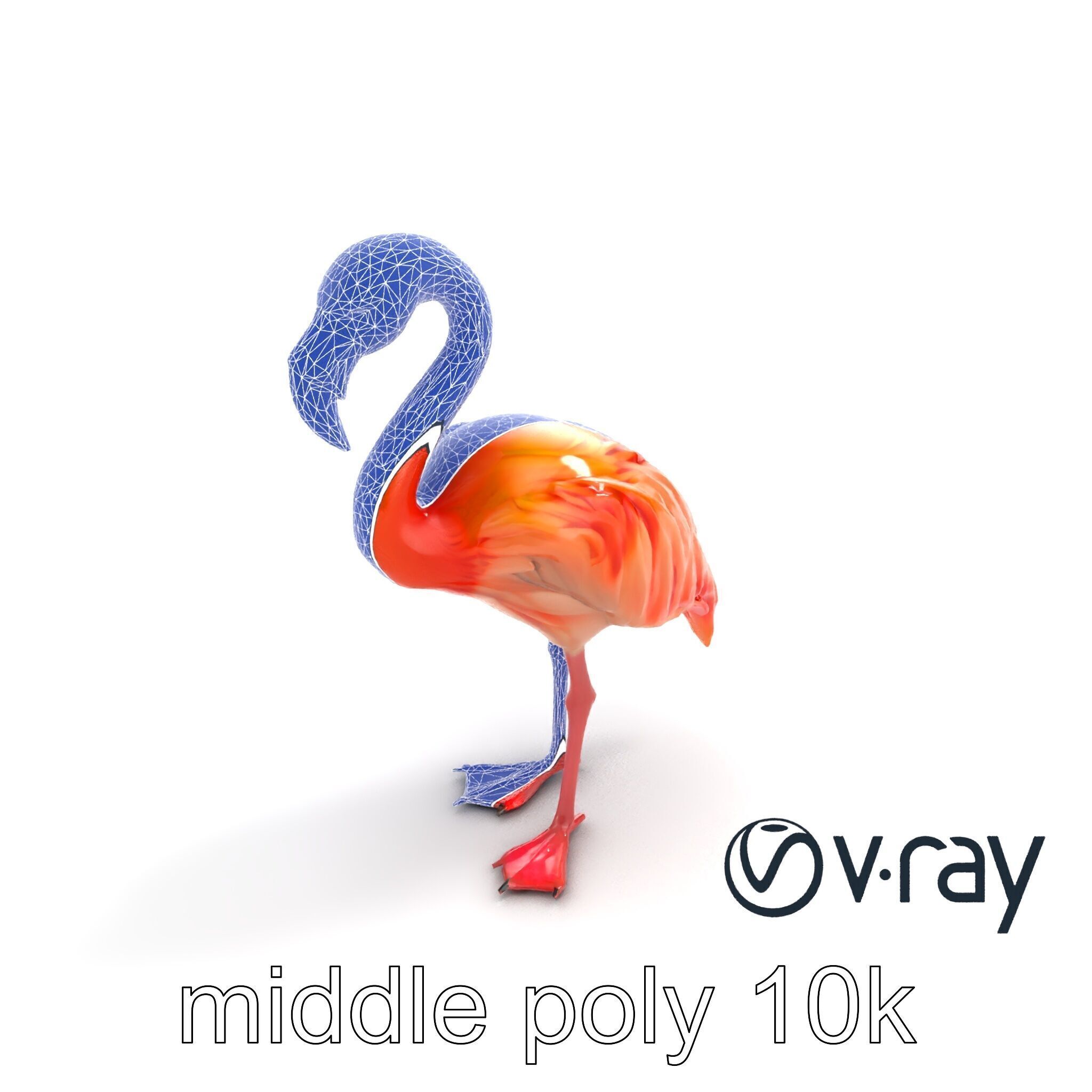 Vibrant Pink Flamingo Model Pack Low-poly 3D model_11