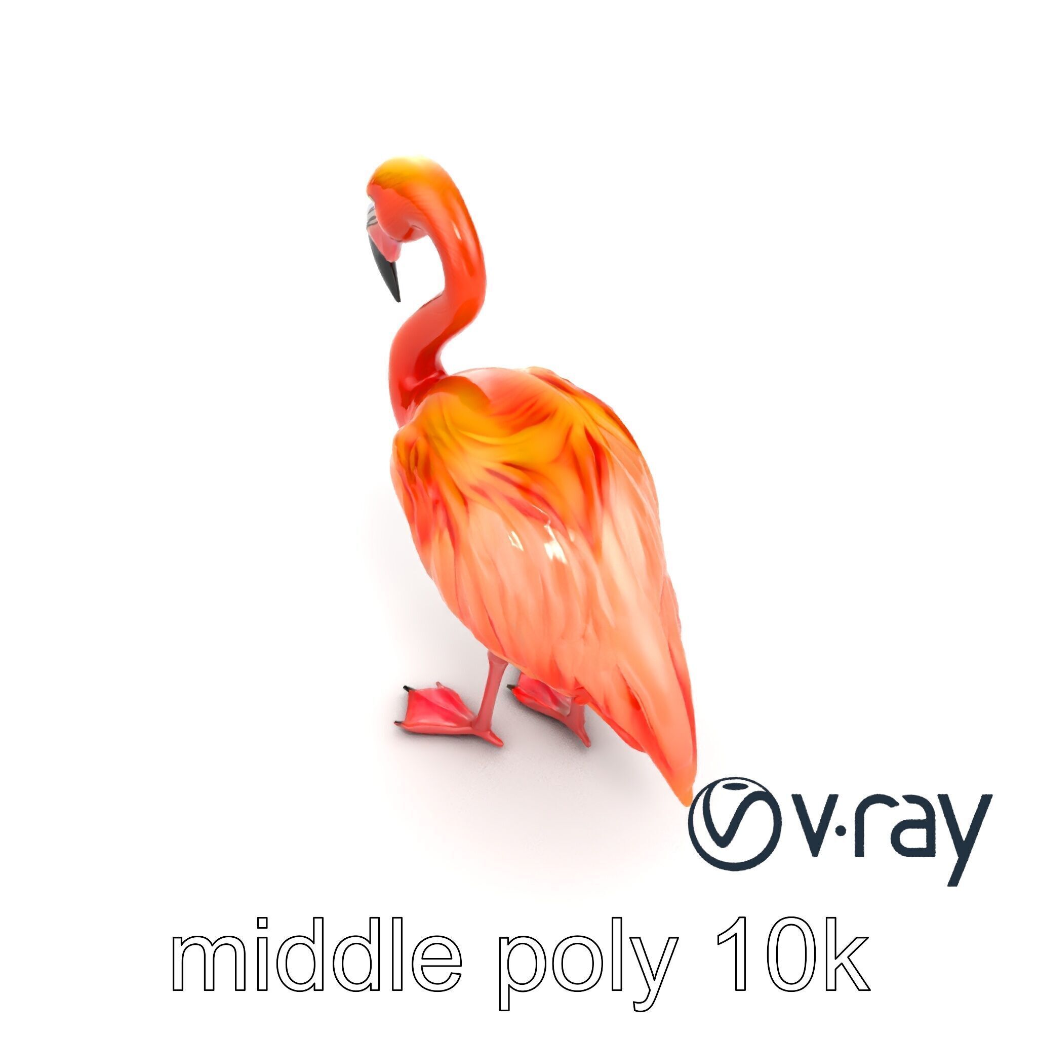 Vibrant Pink Flamingo Model Pack Low-poly 3D model_7