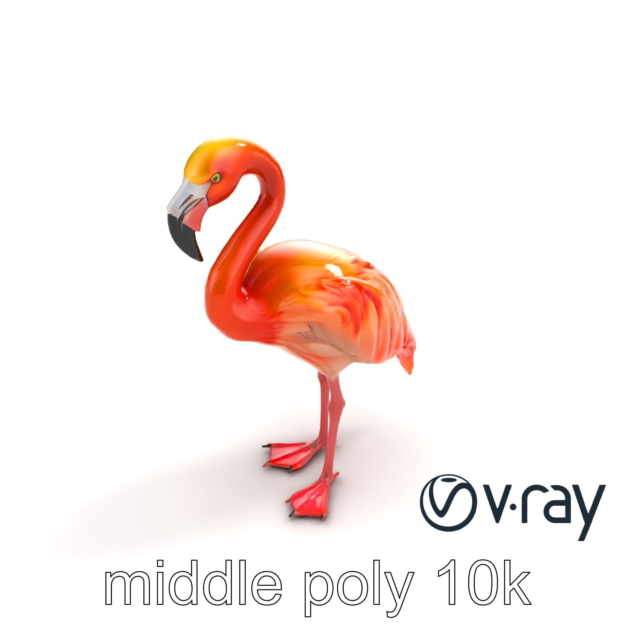 Vibrant Pink Flamingo Model Pack Low-poly 3D model_4