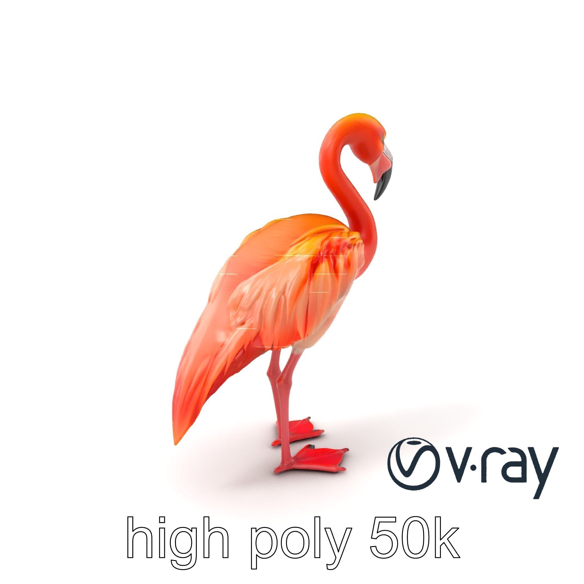 Vibrant Pink Flamingo Model Pack Low-poly 3D model_6