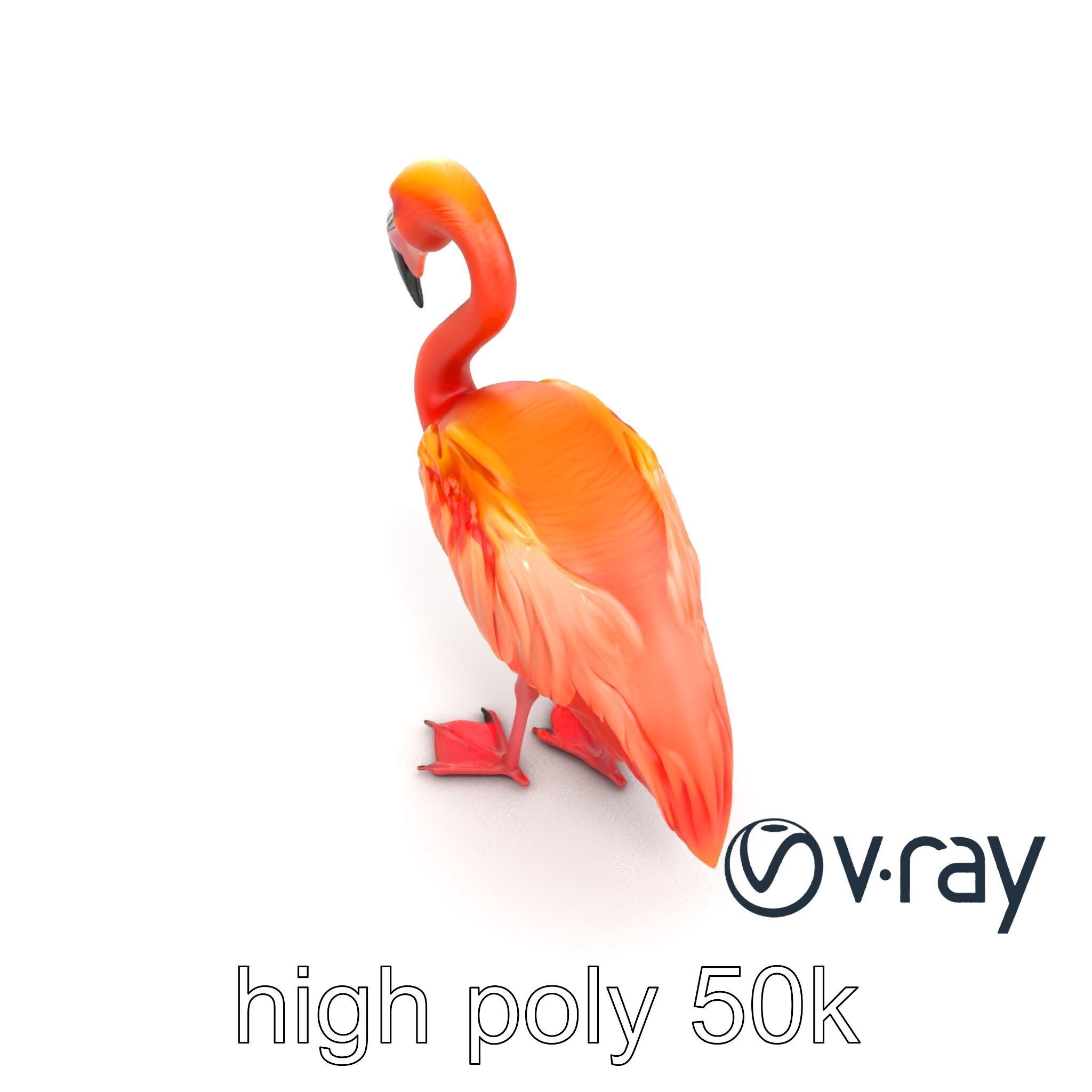 Vibrant Pink Flamingo Model Pack Low-poly 3D model_12
