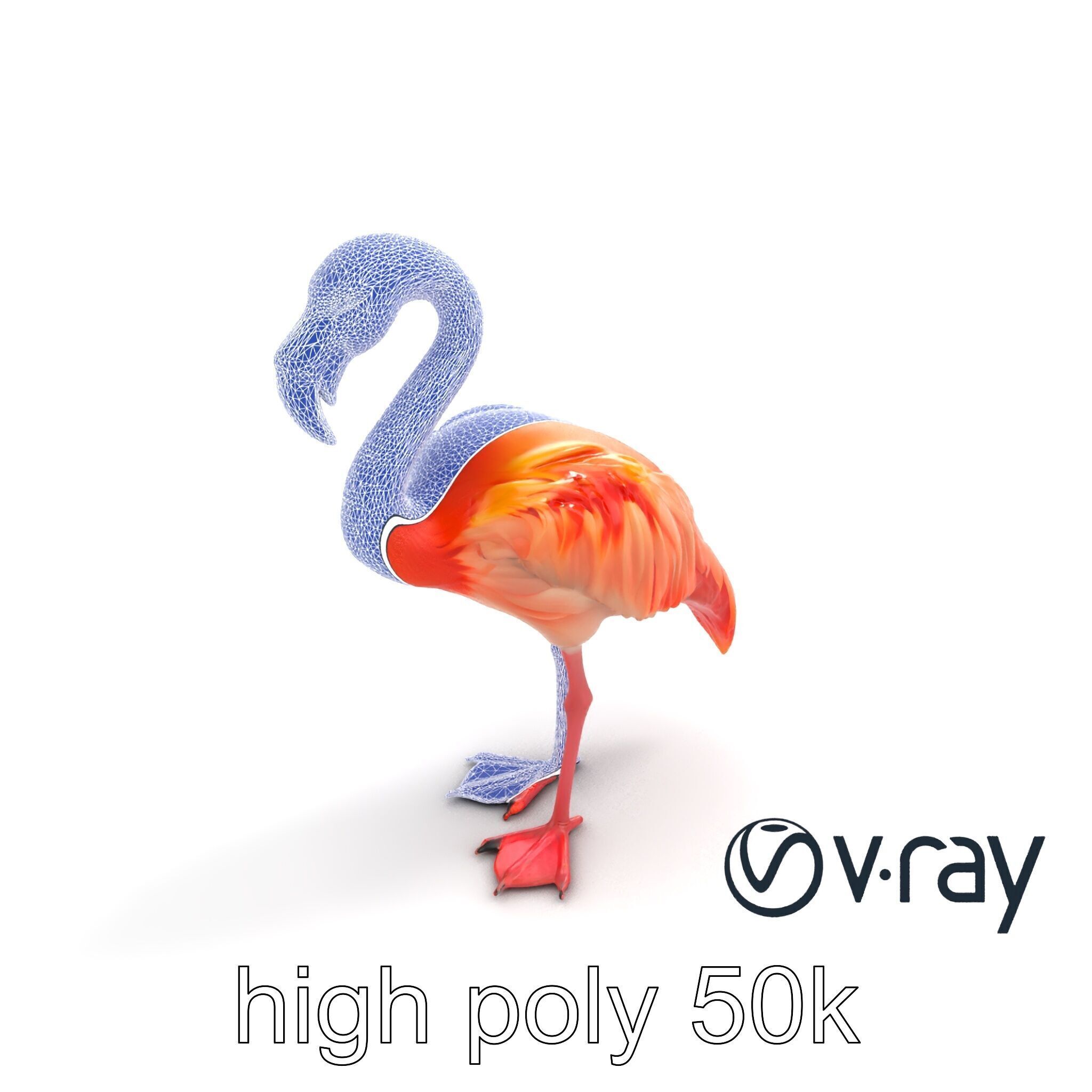 Vibrant Pink Flamingo Model Pack Low-poly 3D model_19