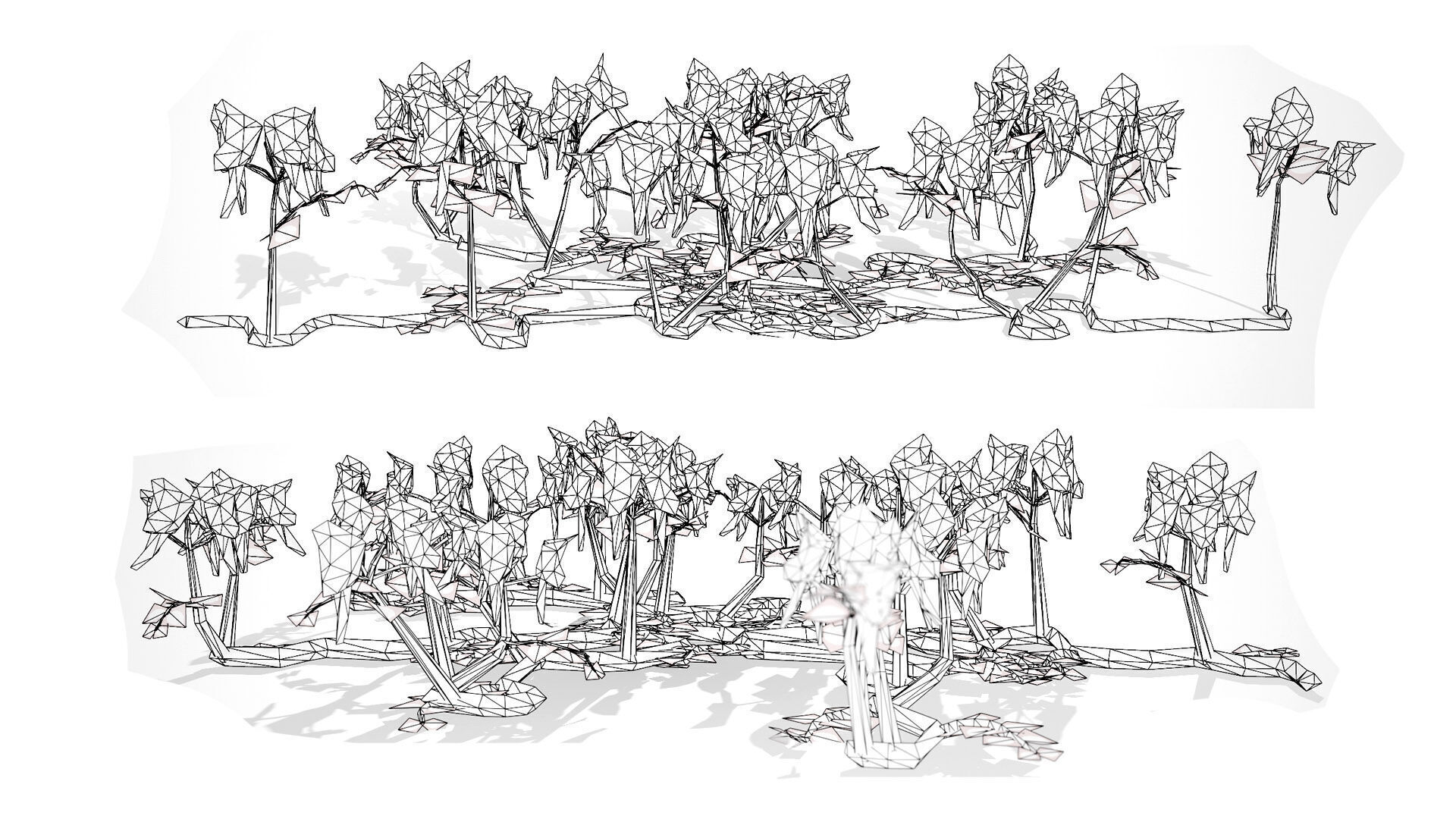 Australian Sturts Desert Pea Swainsona Low-poly 3D model_9