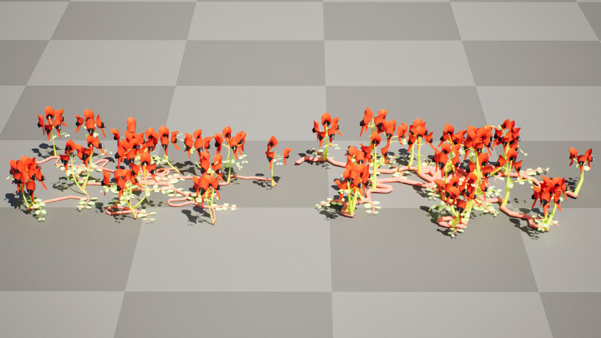 Australian Sturts Desert Pea Swainsona Low-poly 3D model_2