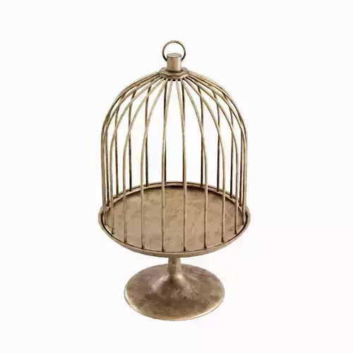 Metal Birdcage 03