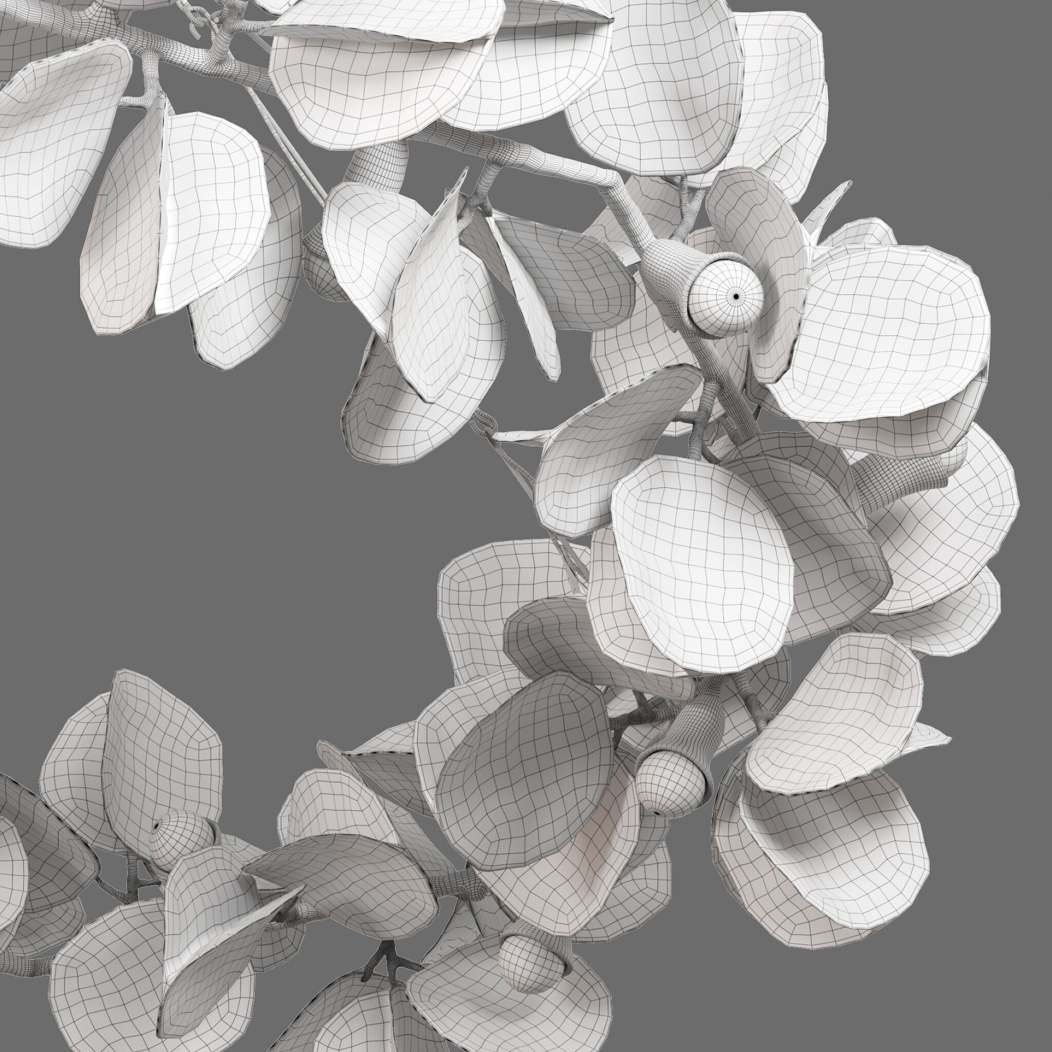 Pendant Lamp Moonpapier St Honore 3D model_7