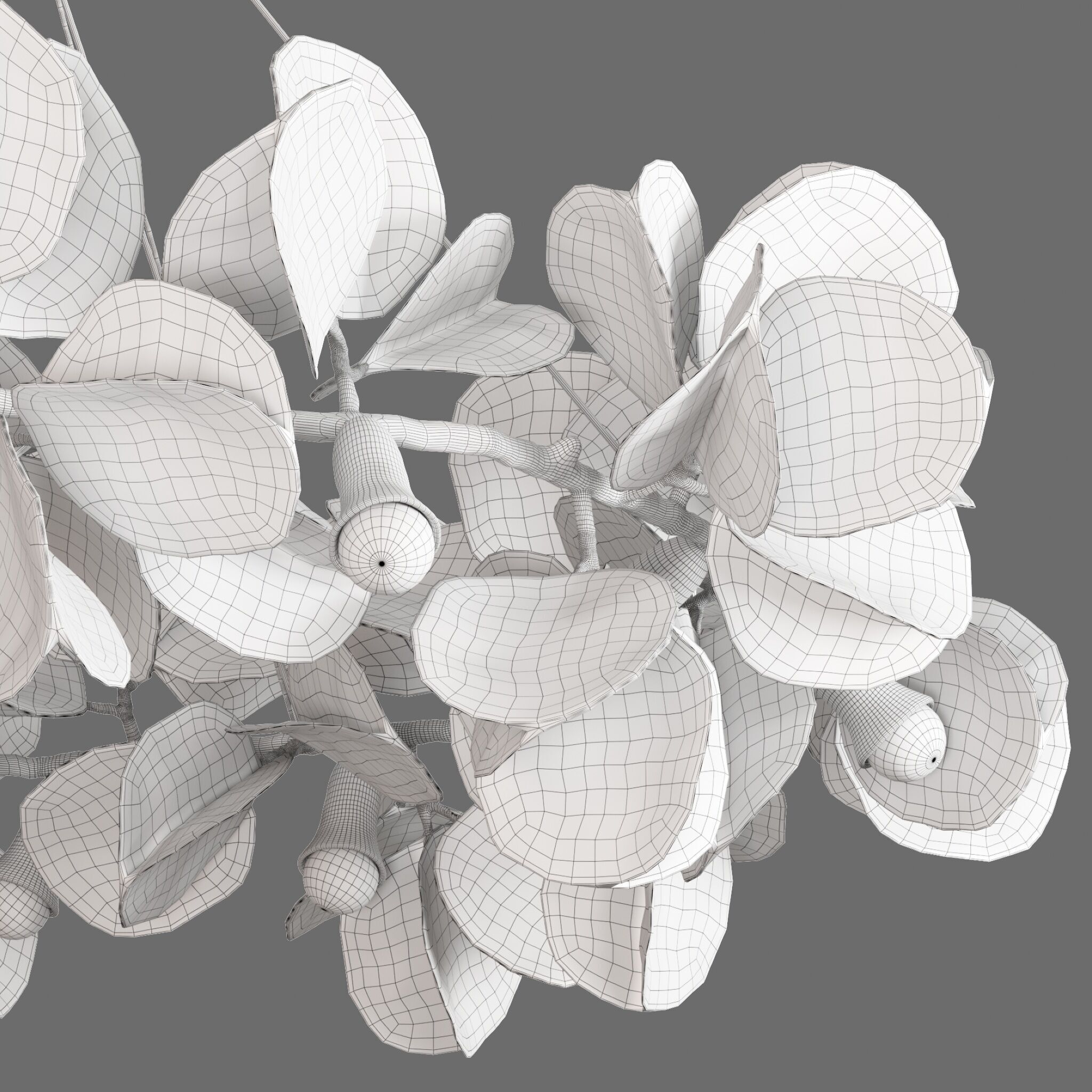 Pendant Lamp Moonpapier St Honore 3D model_5