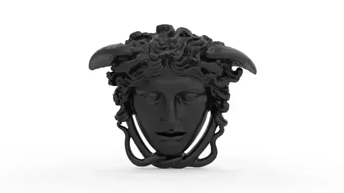 Medusa Head 02