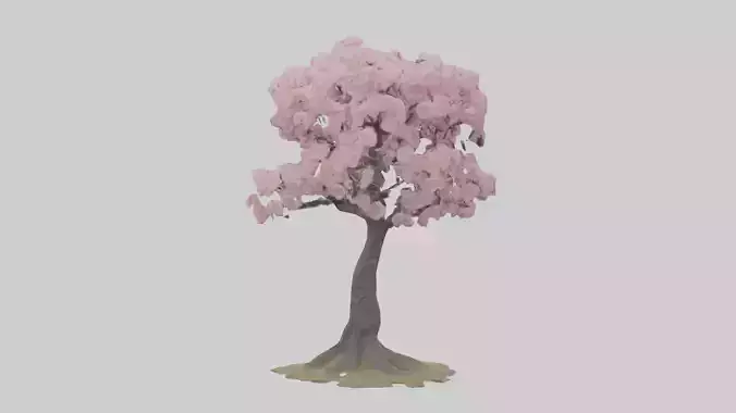 Cherry Blossom tree model