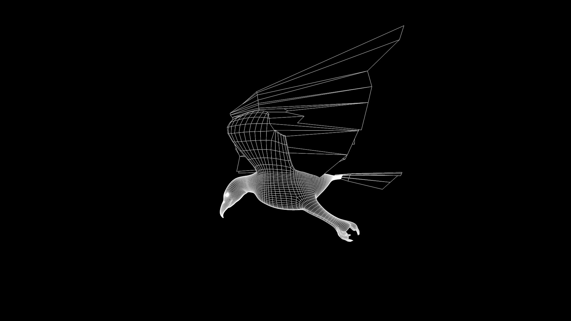 White Headed Eagle 3D model_11