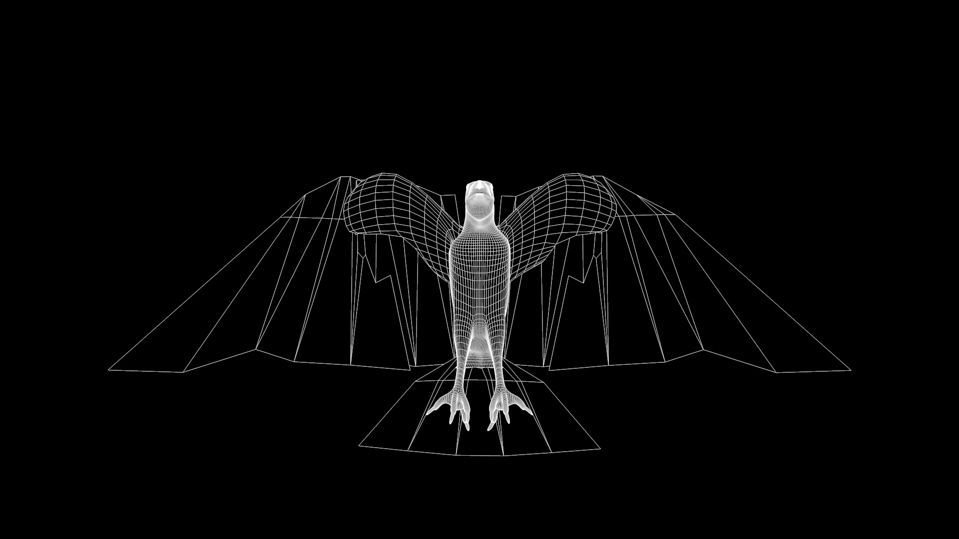 White Headed Eagle 3D model_3