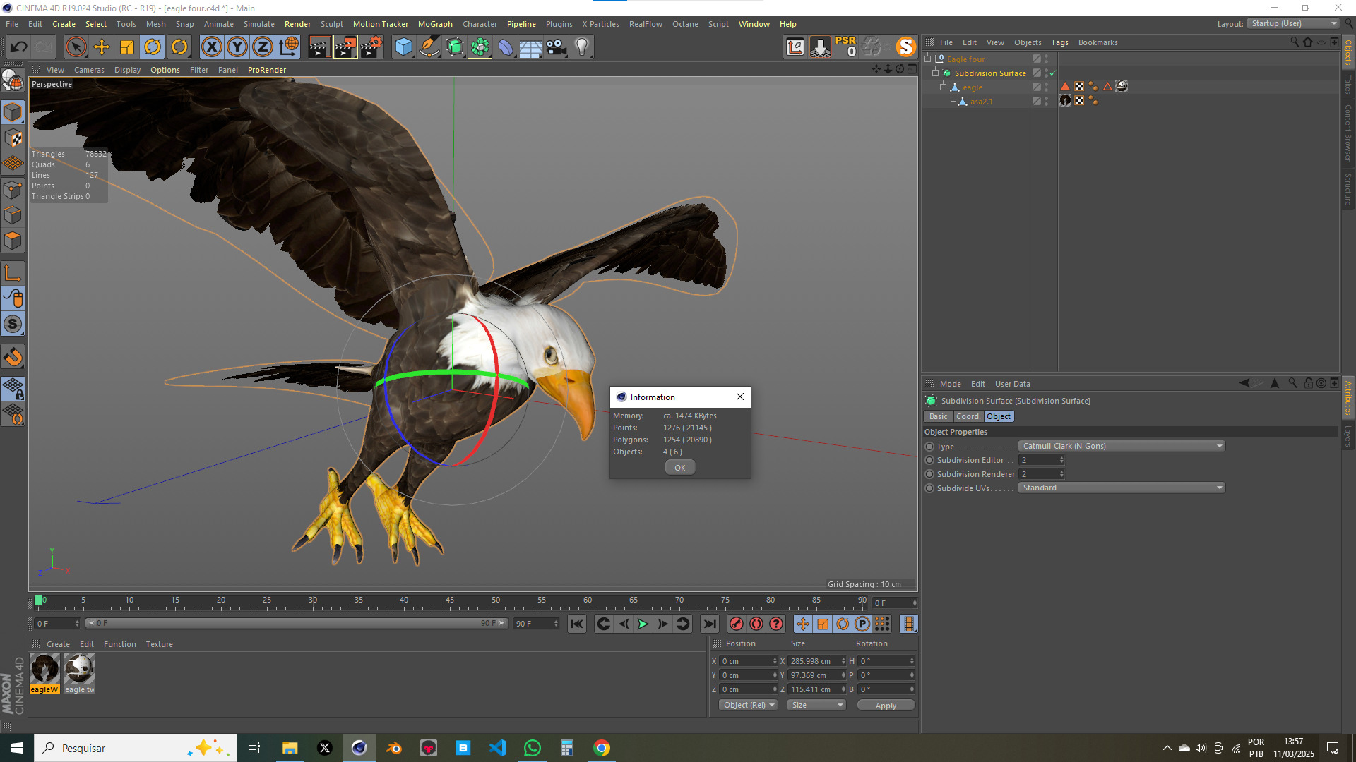 White Headed Eagle 3D model_17