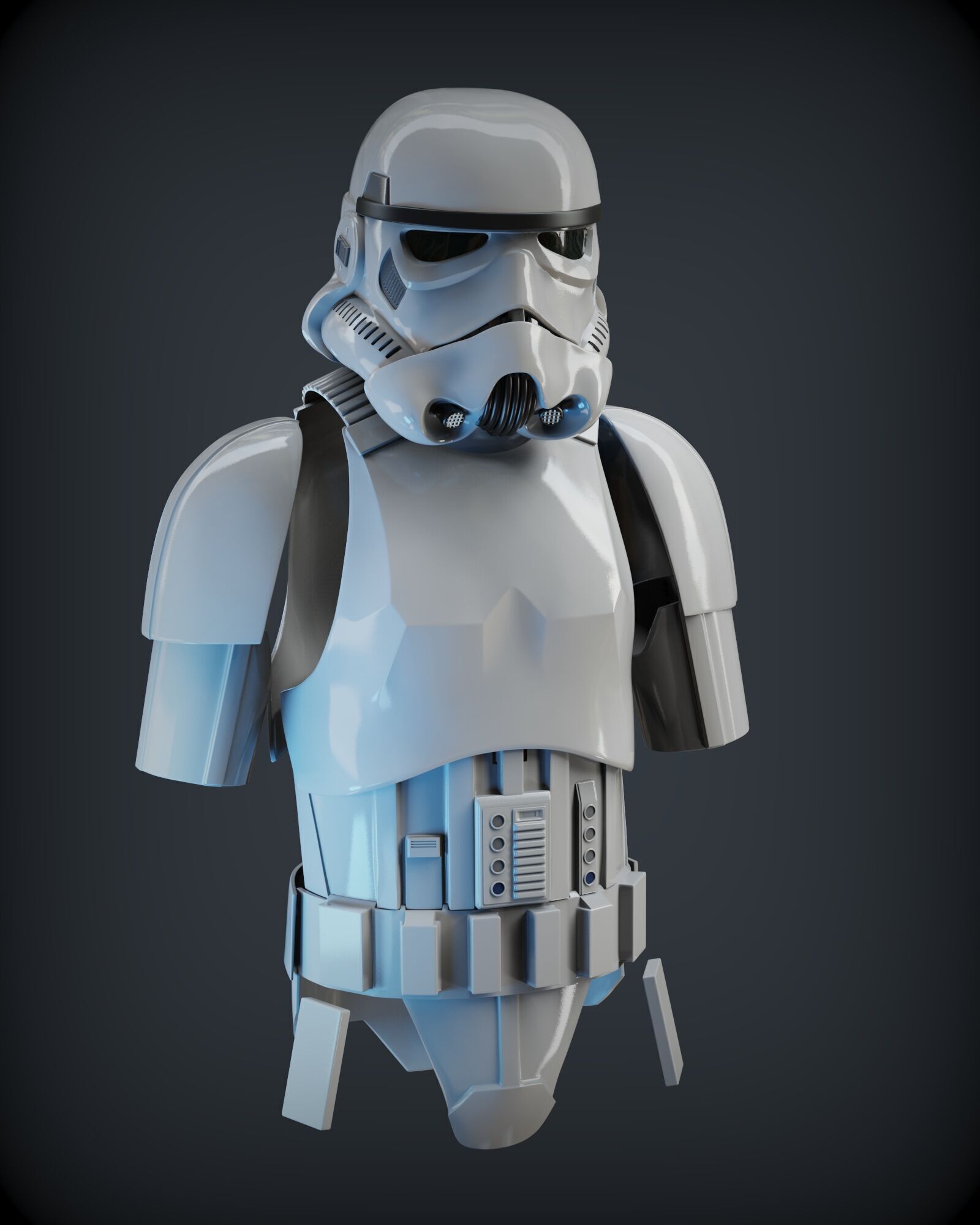 STORMTROOPER armor from Rogue One plus E11 BLASTER 3D print model_14