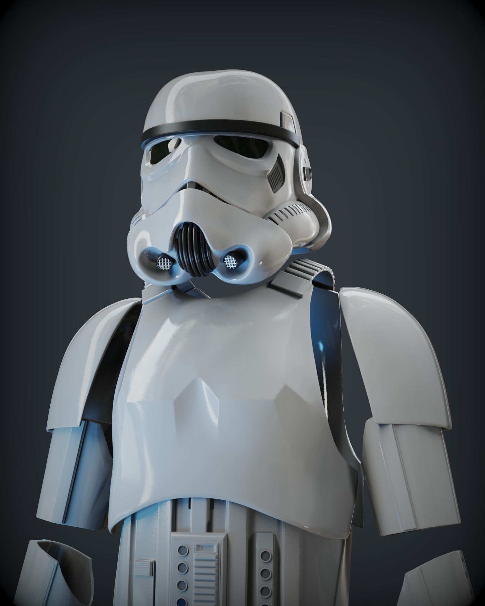 STORMTROOPER armor from Rogue One plus E11 BLASTER 3D print model_15