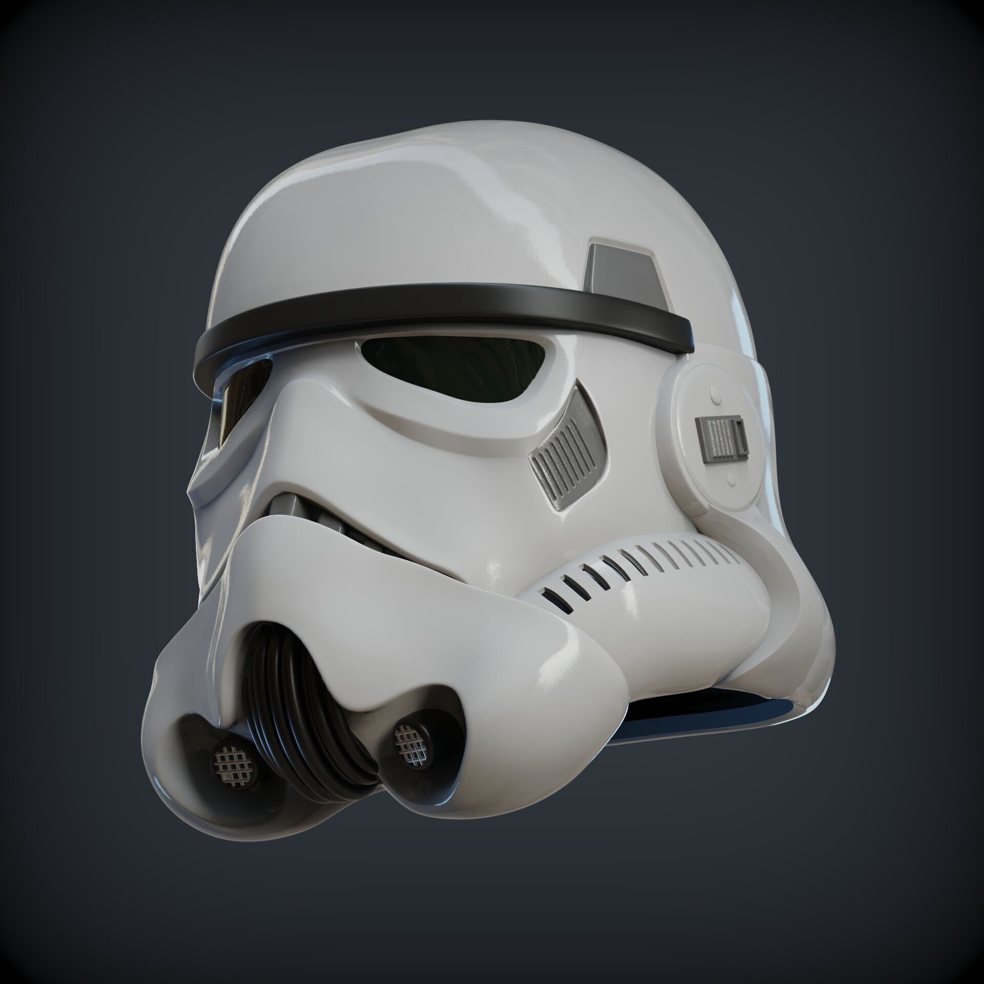 STORMTROOPER armor from Rogue One plus E11 BLASTER 3D print model_19