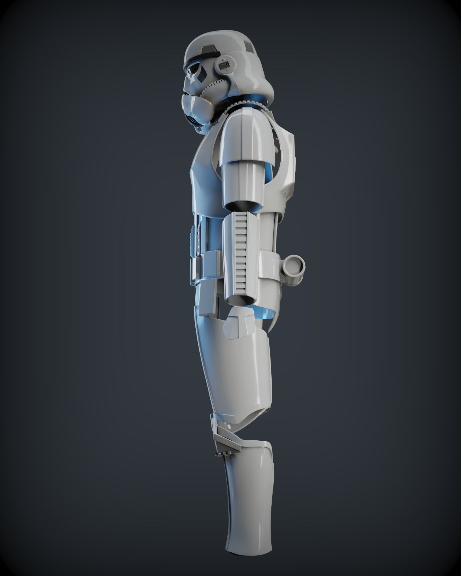 STORMTROOPER armor from Rogue One plus E11 BLASTER 3D print model_8