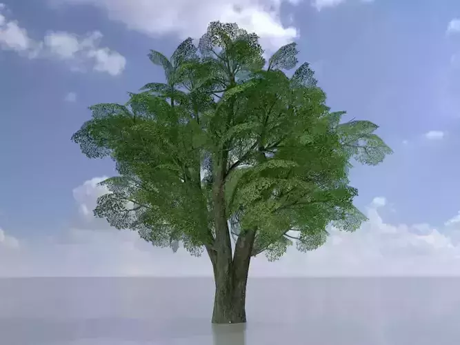 Alnus glutinosa tree summer 21000mm Low-poly 3D model