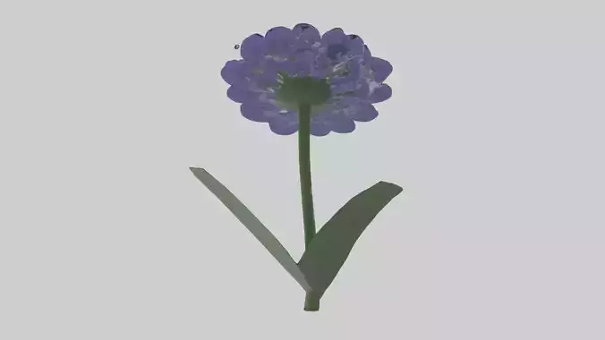 Cineraria flower model Low-poly 3D model