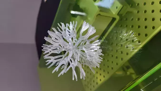 Molecule coral resin model