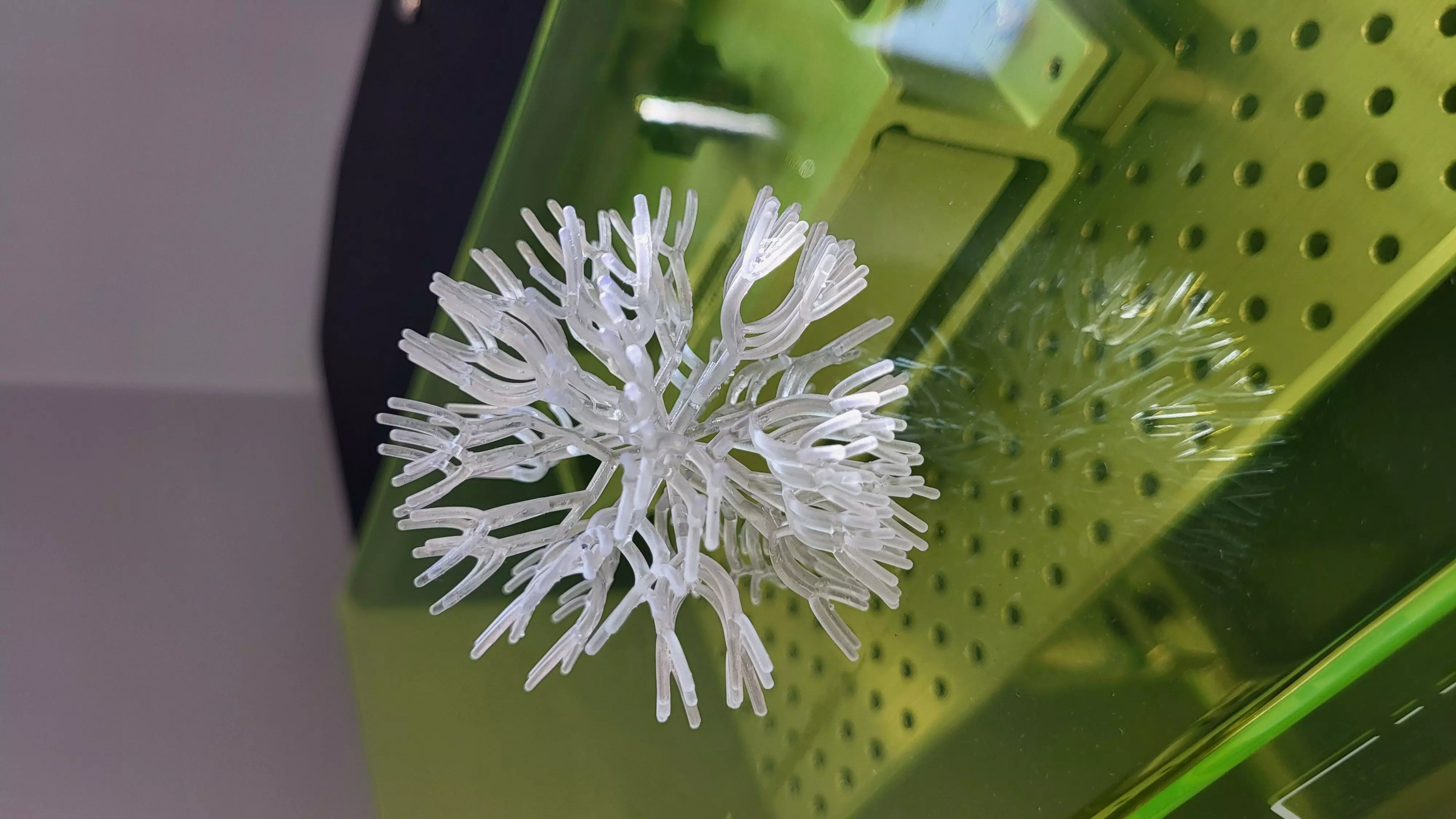 Molecule coral resin model 3D print model