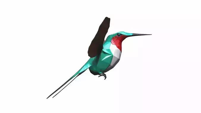 Hummingbird 3d Model